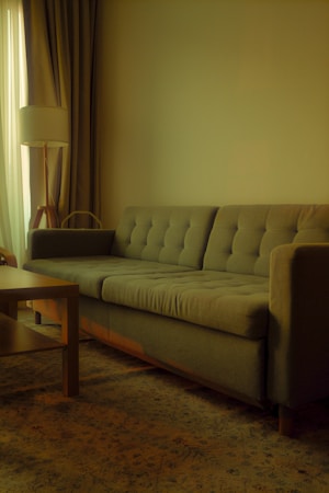 Servis Sofa Bandung 1