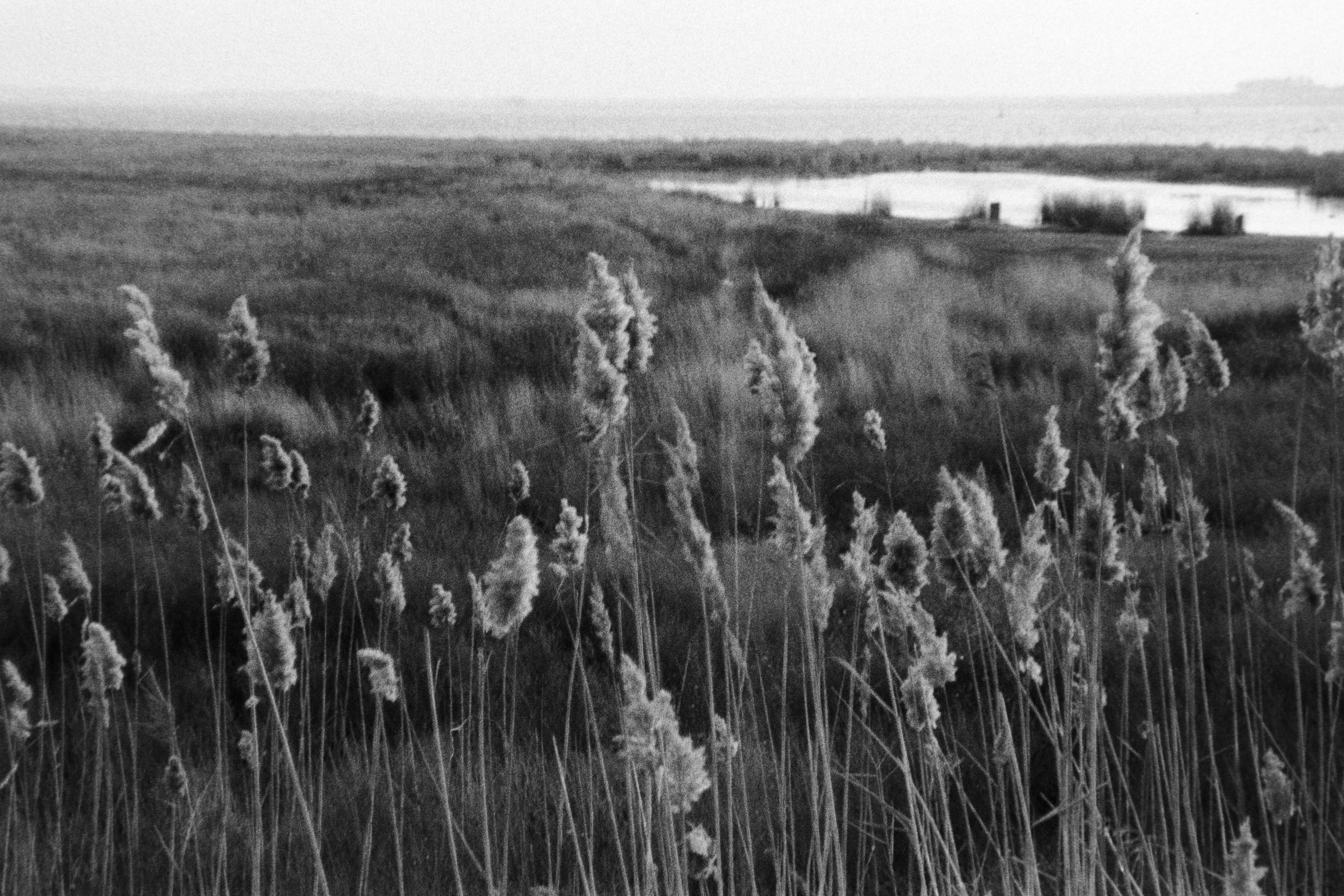 Photo by ragnarbeaverson