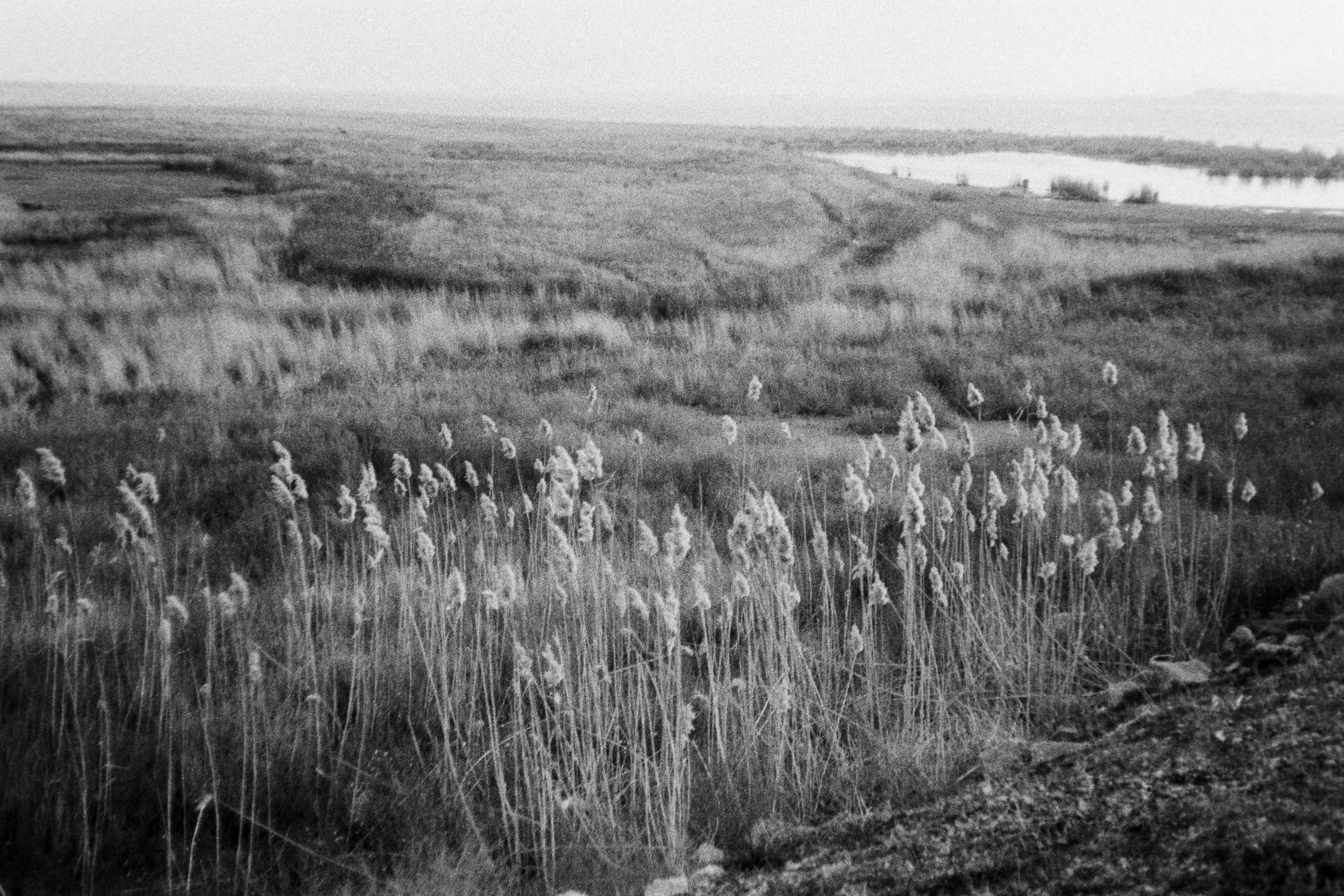 Photo by ragnarbeaverson