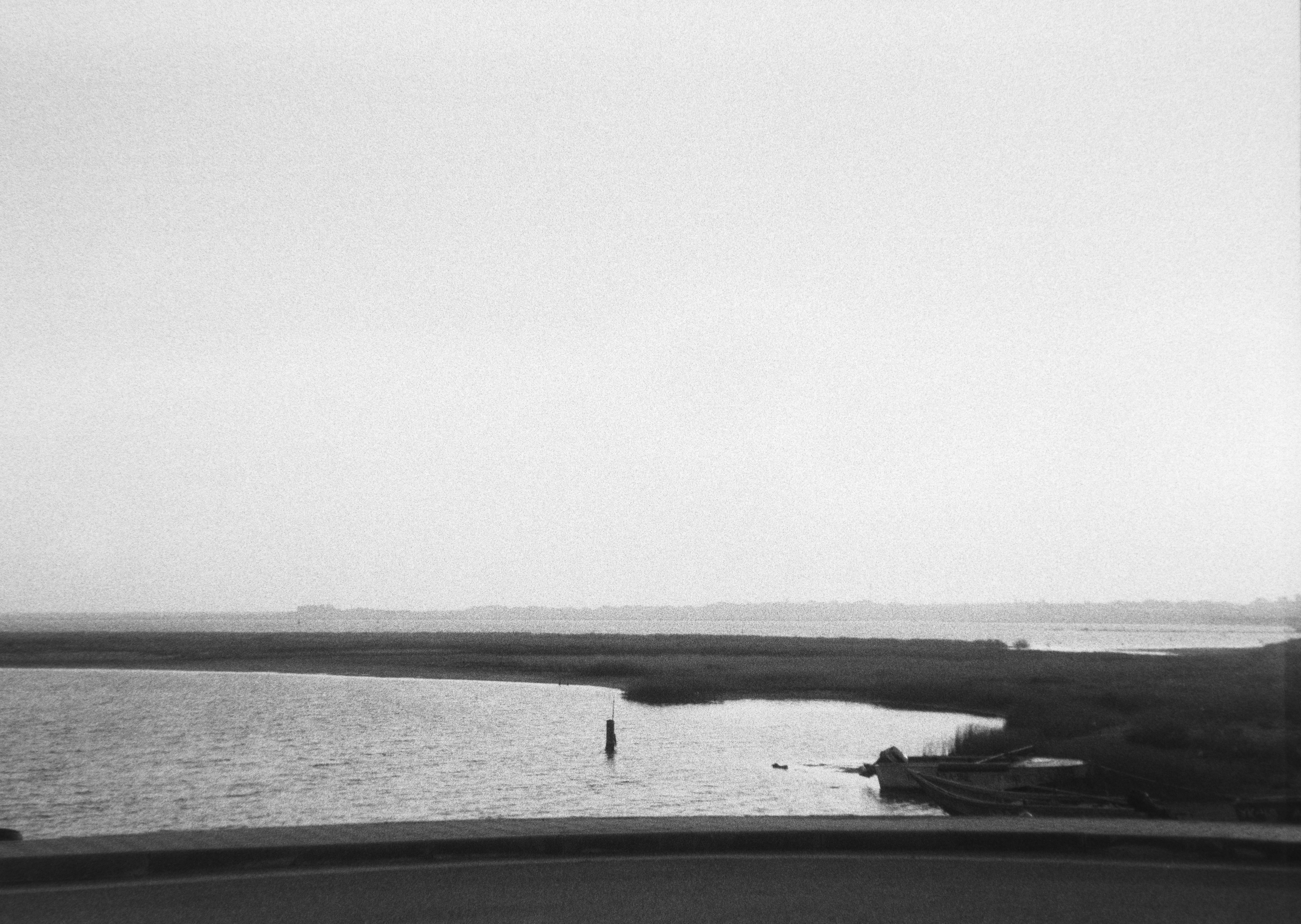 Photo by ragnarbeaverson