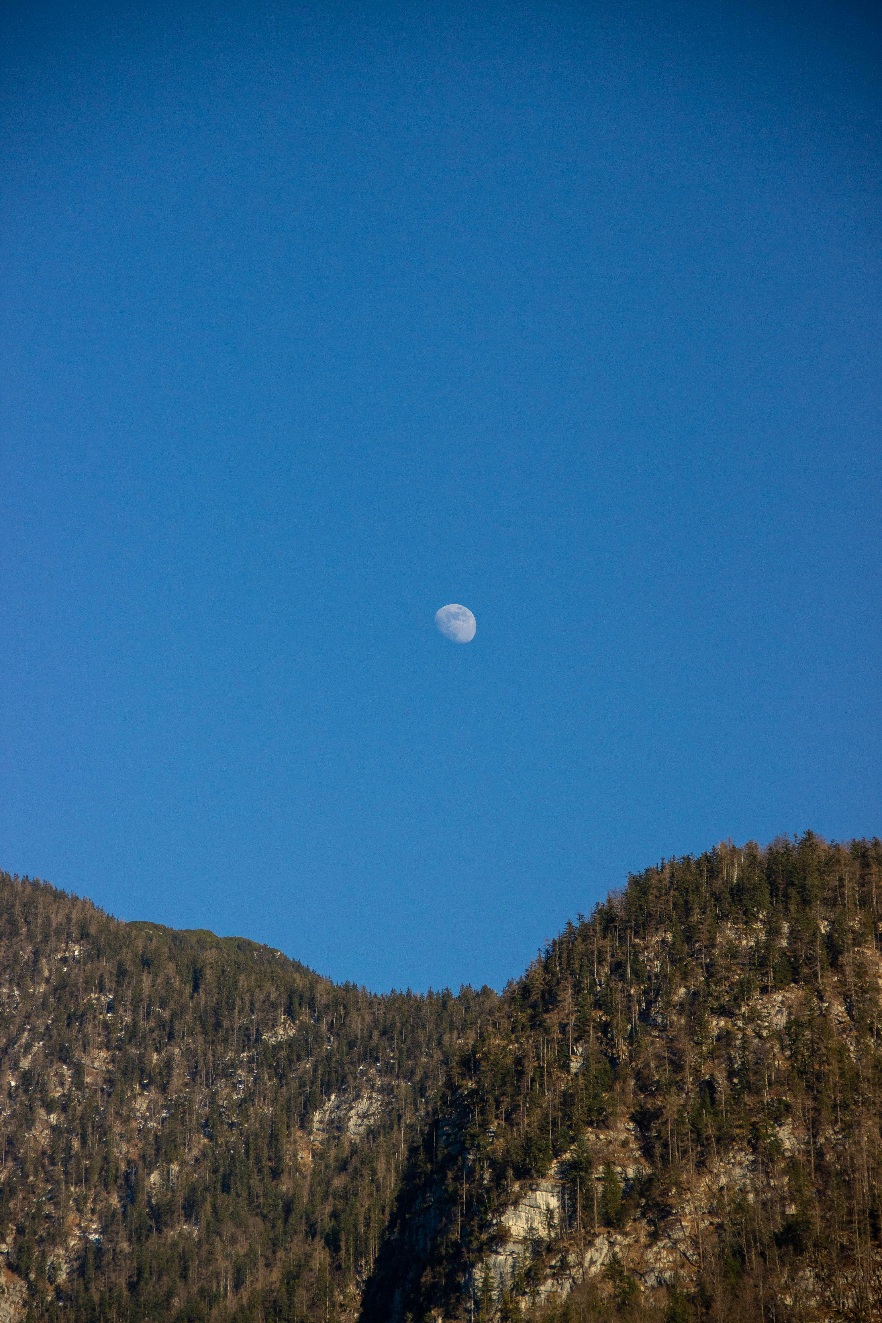 Photo by daniyarorazov