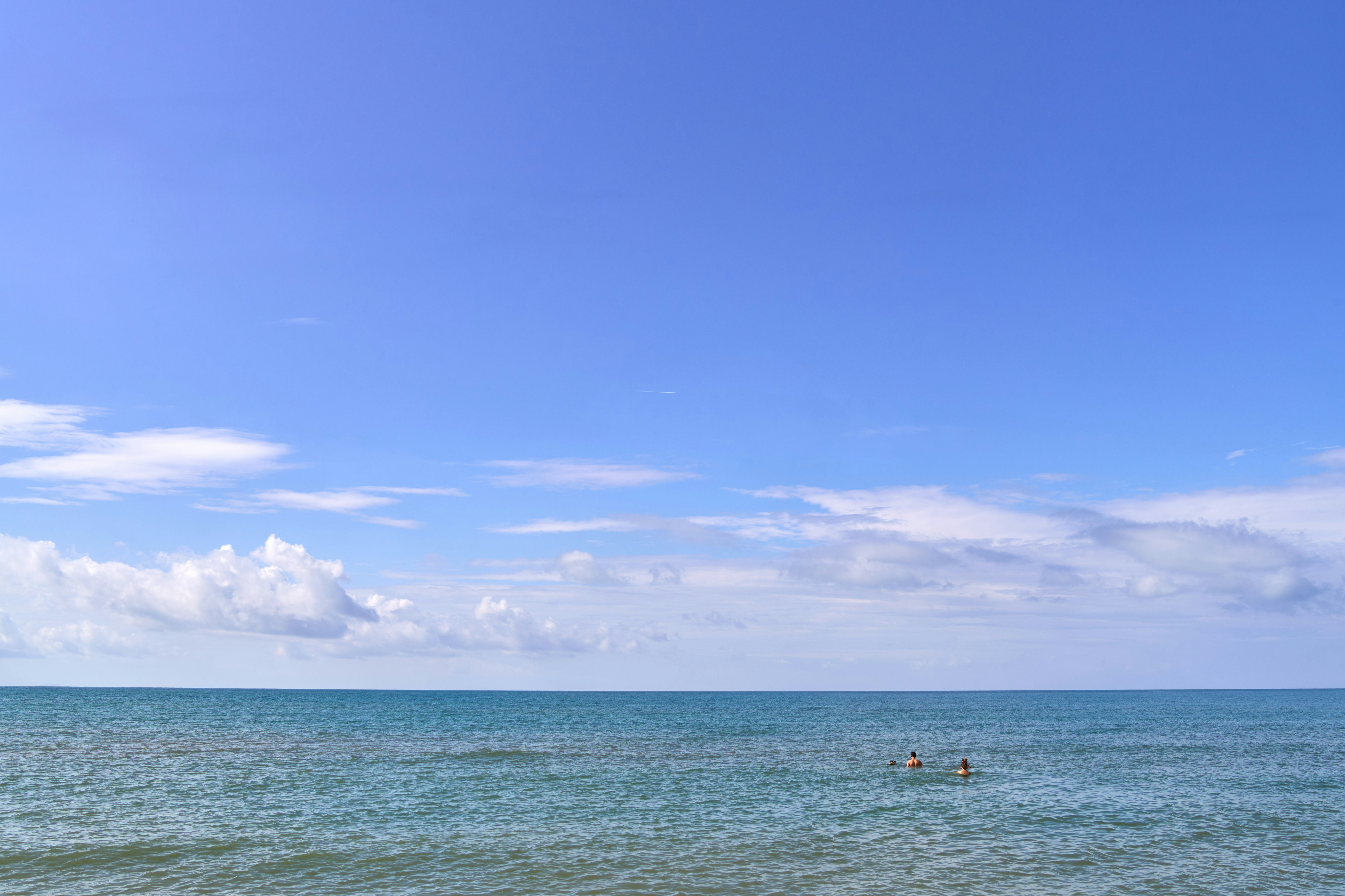 Photo by wolfgang_hasselmann