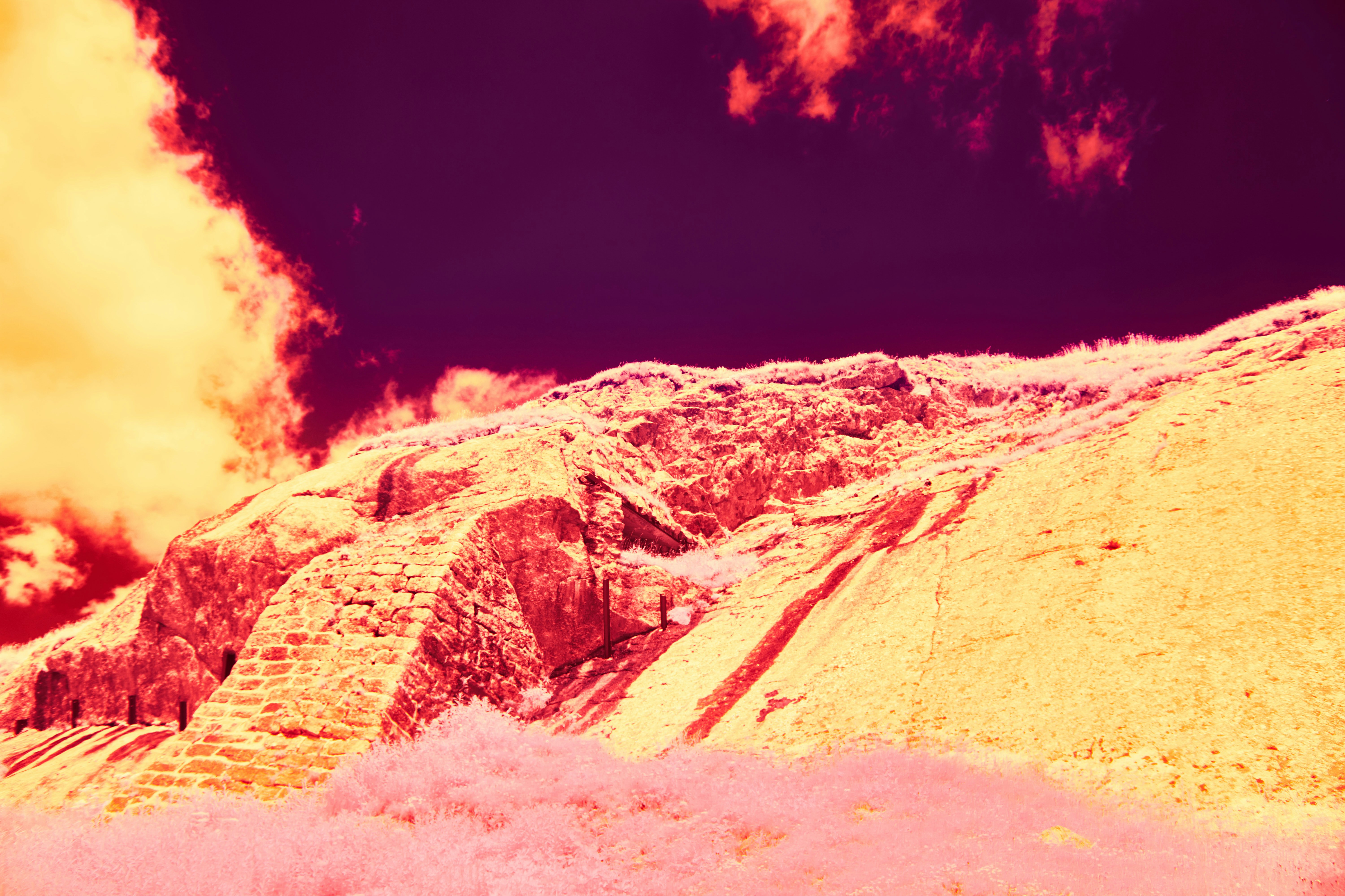 Photo by wolfgang_hasselmann