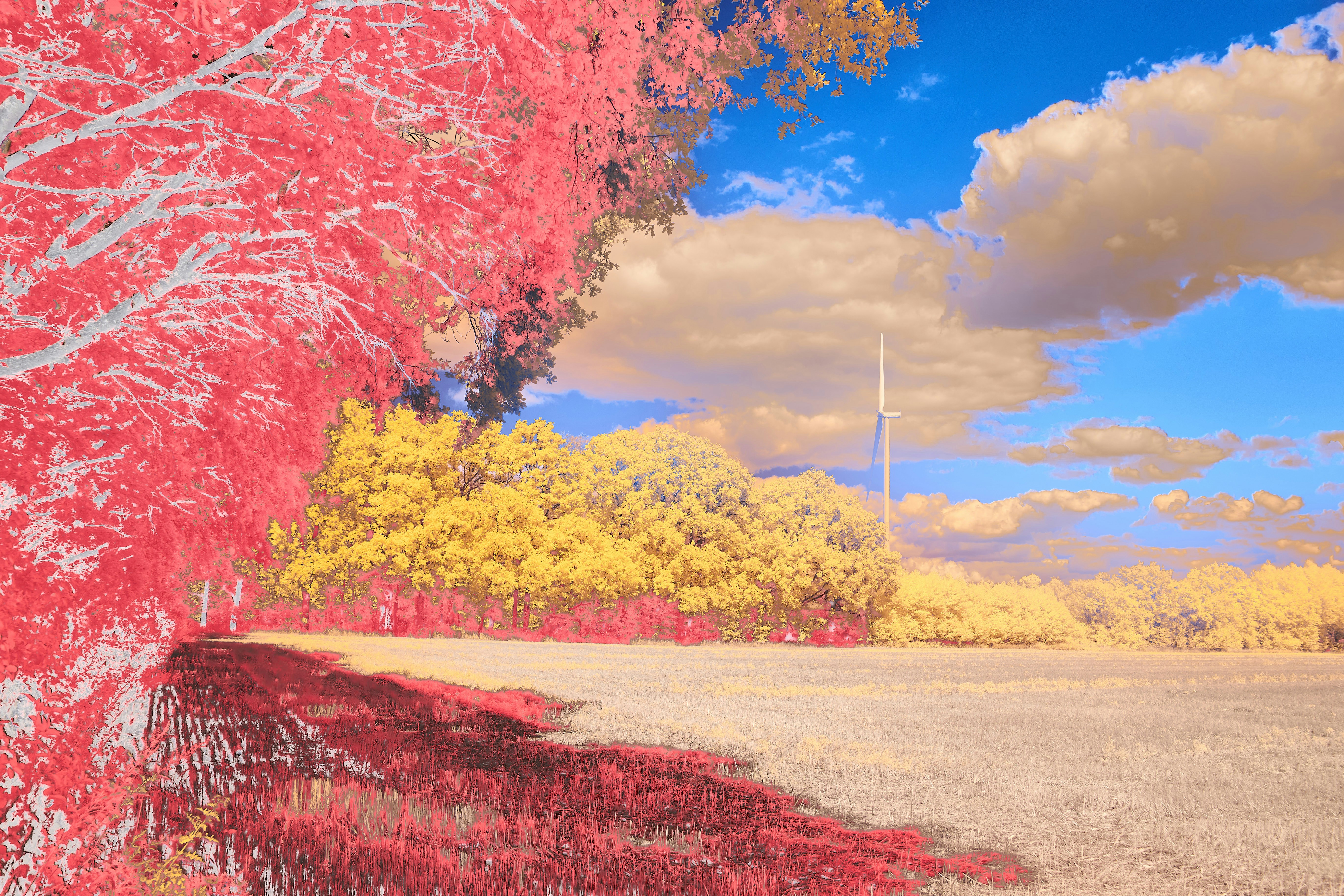 Photo by wolfgang_hasselmann