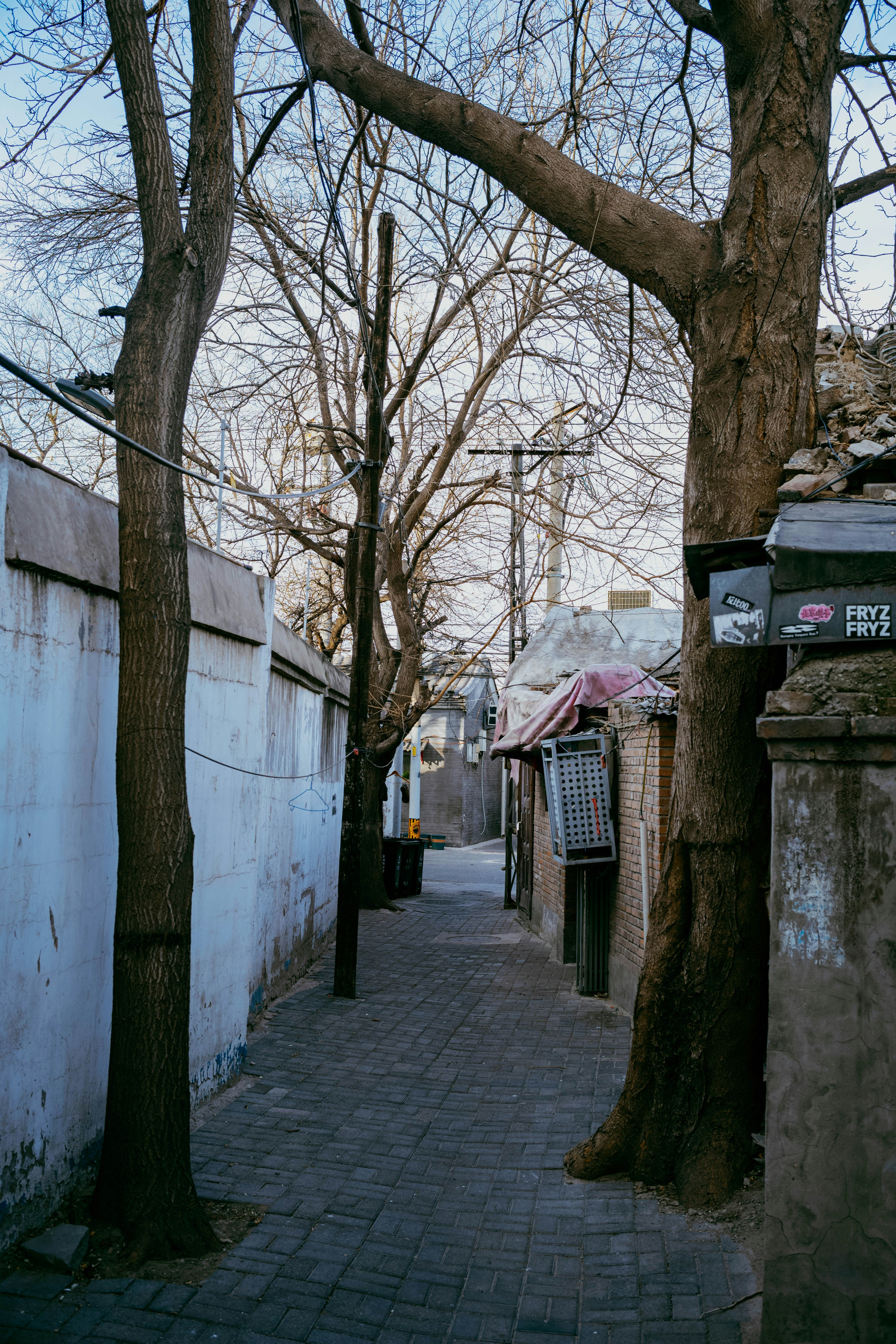 Photo by tommaomaoer