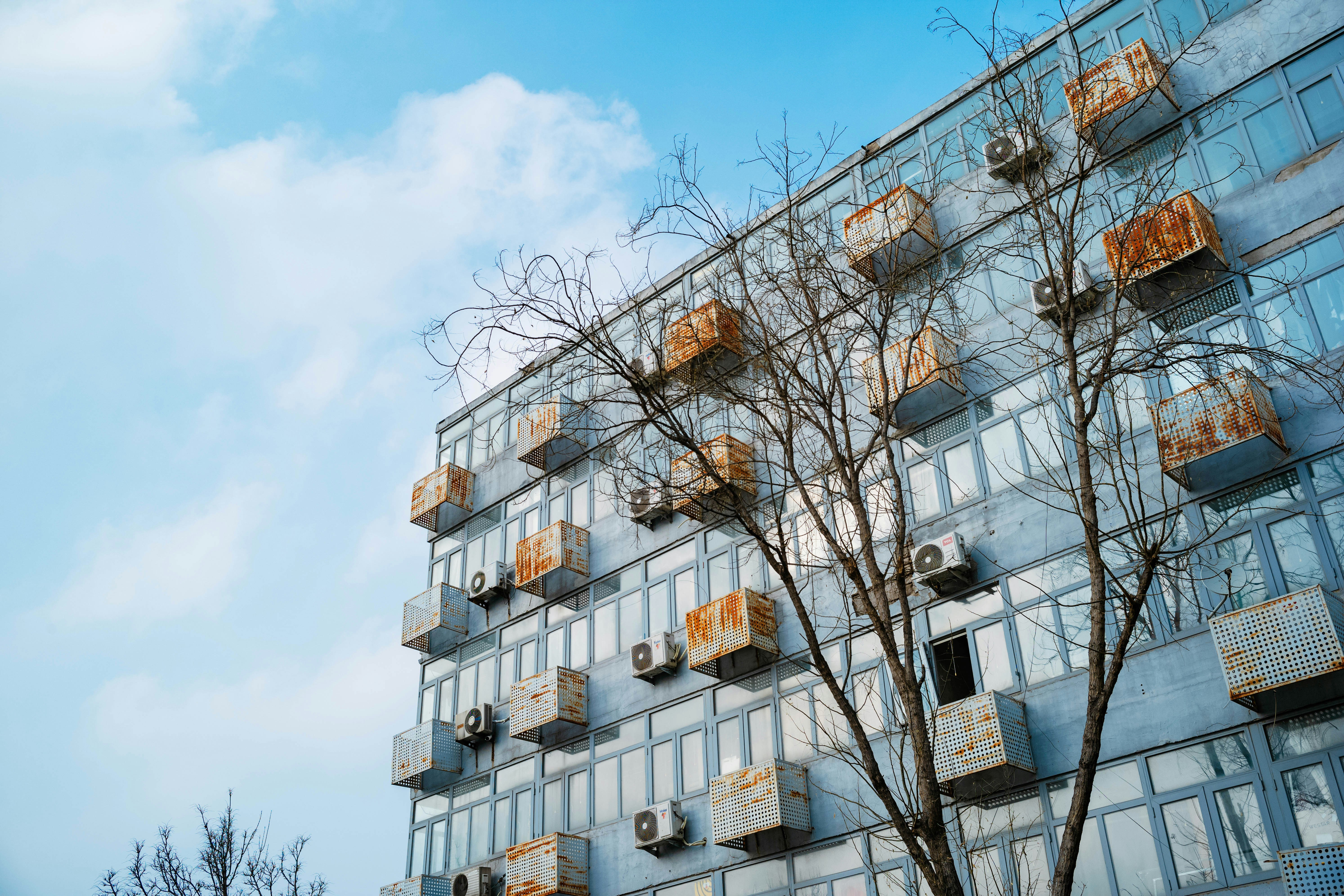 Photo by tommaomaoer