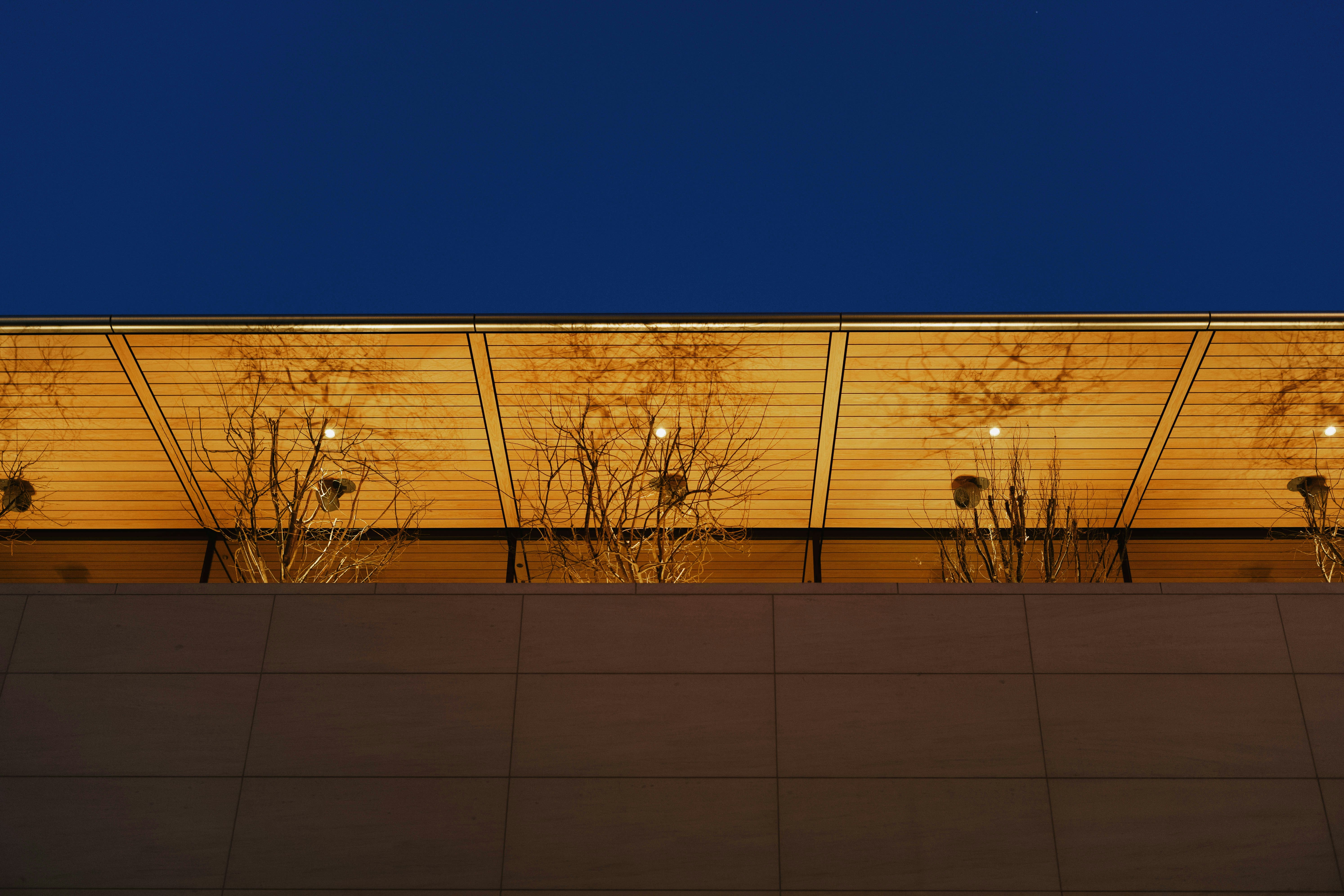 Photo by tommaomaoer