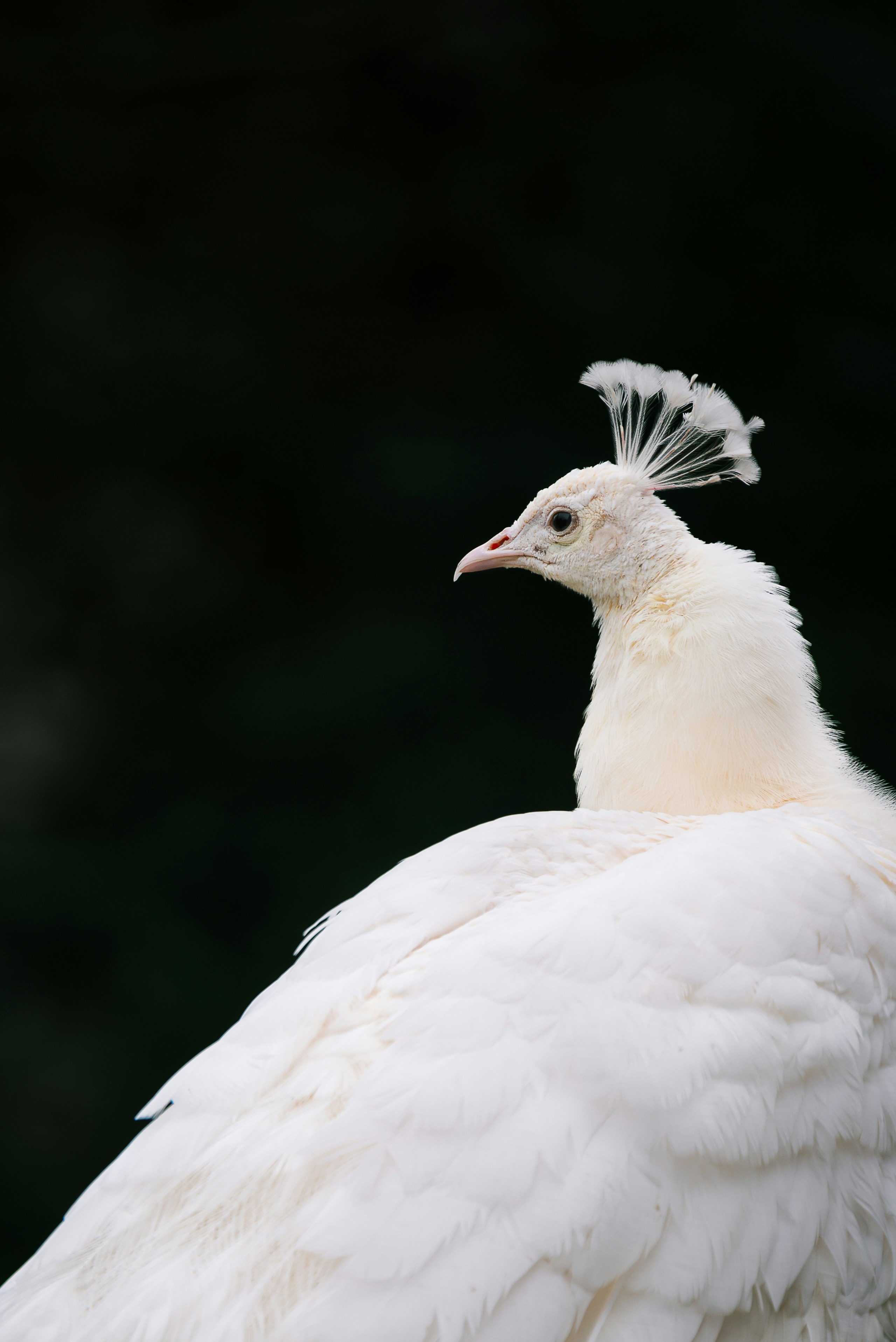 Photo by jetztabertempo