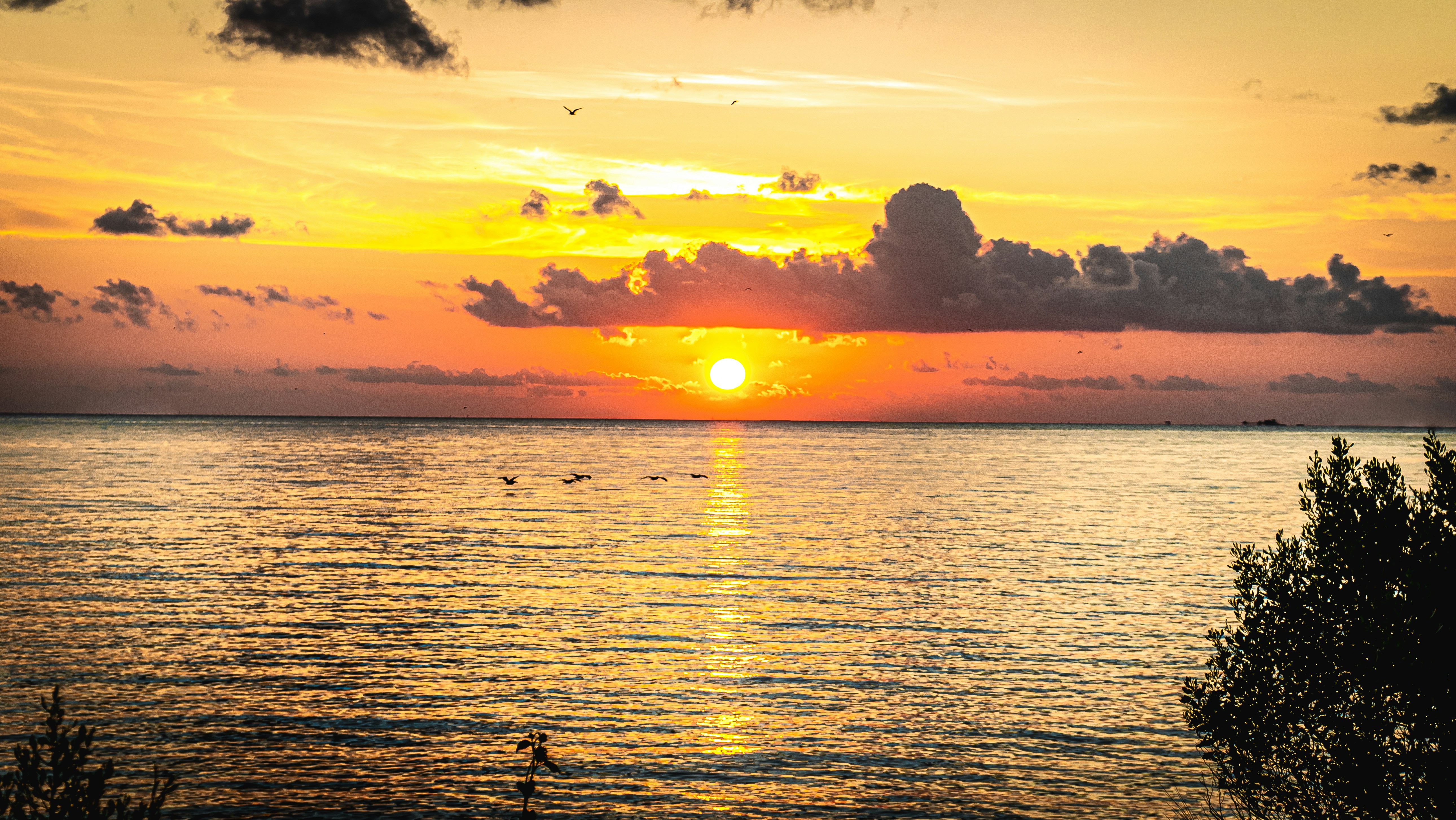 Photo by jaychayproductions