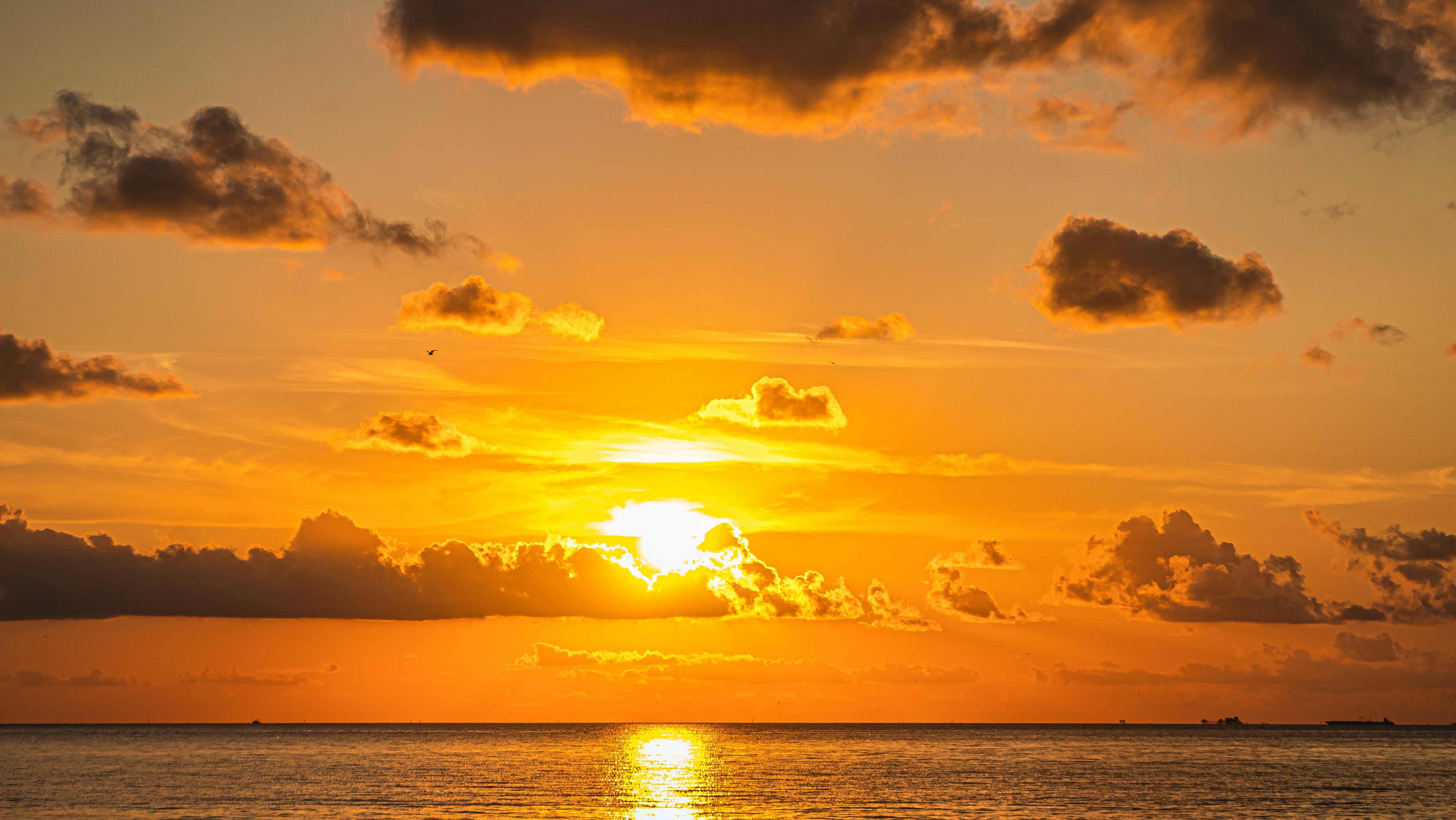 Photo by jaychayproductions