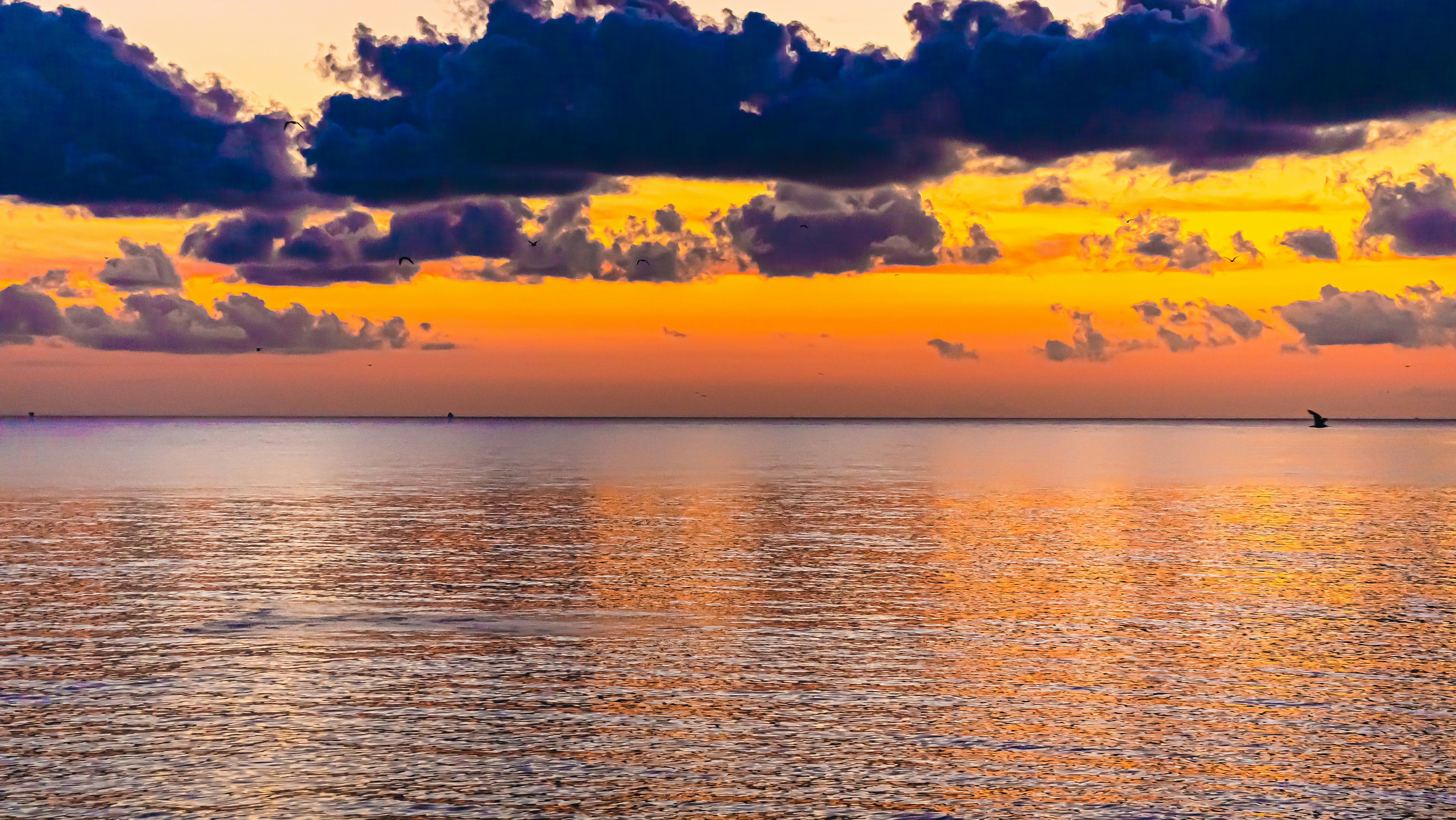 Photo by jaychayproductions