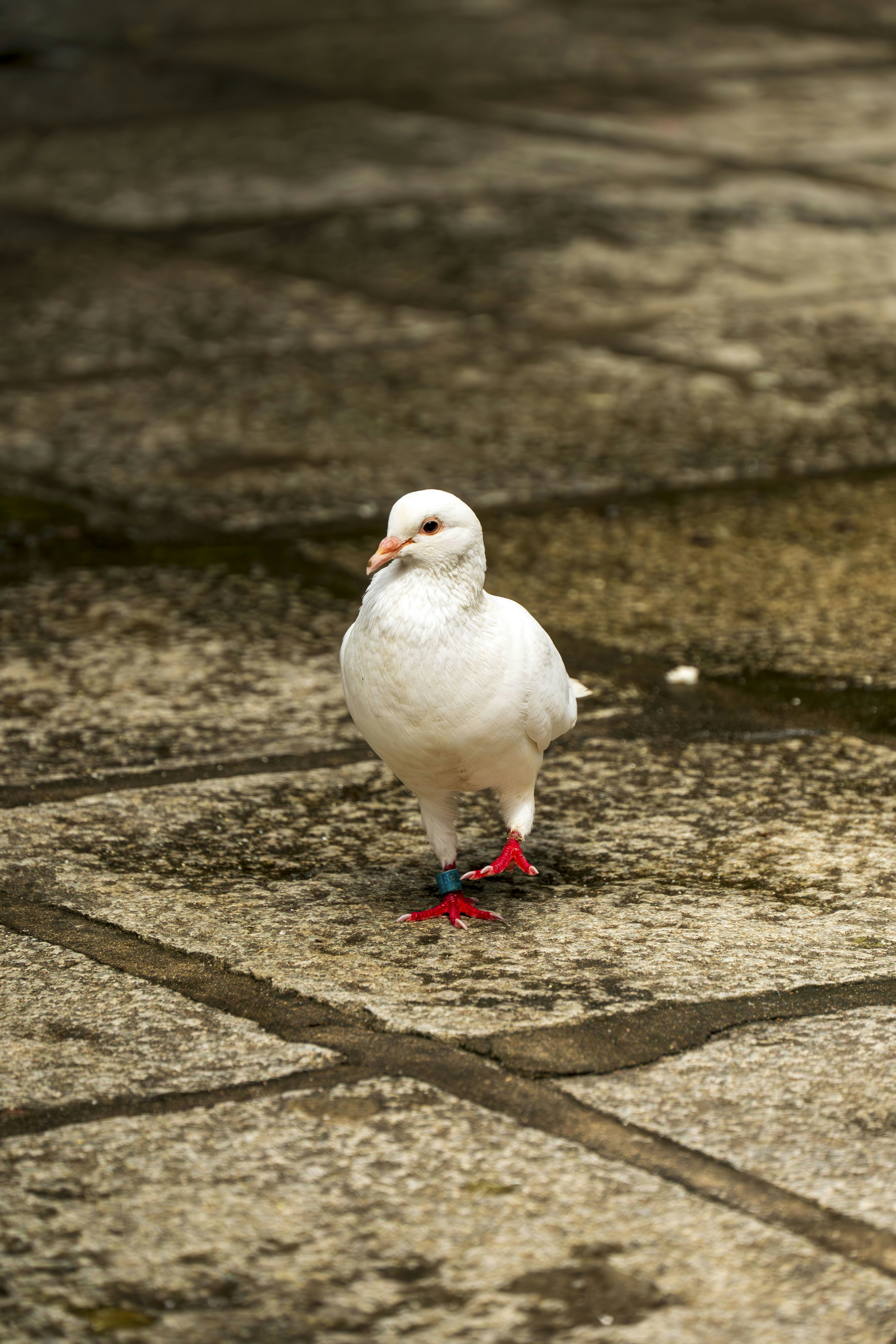 Photo by excellentcx