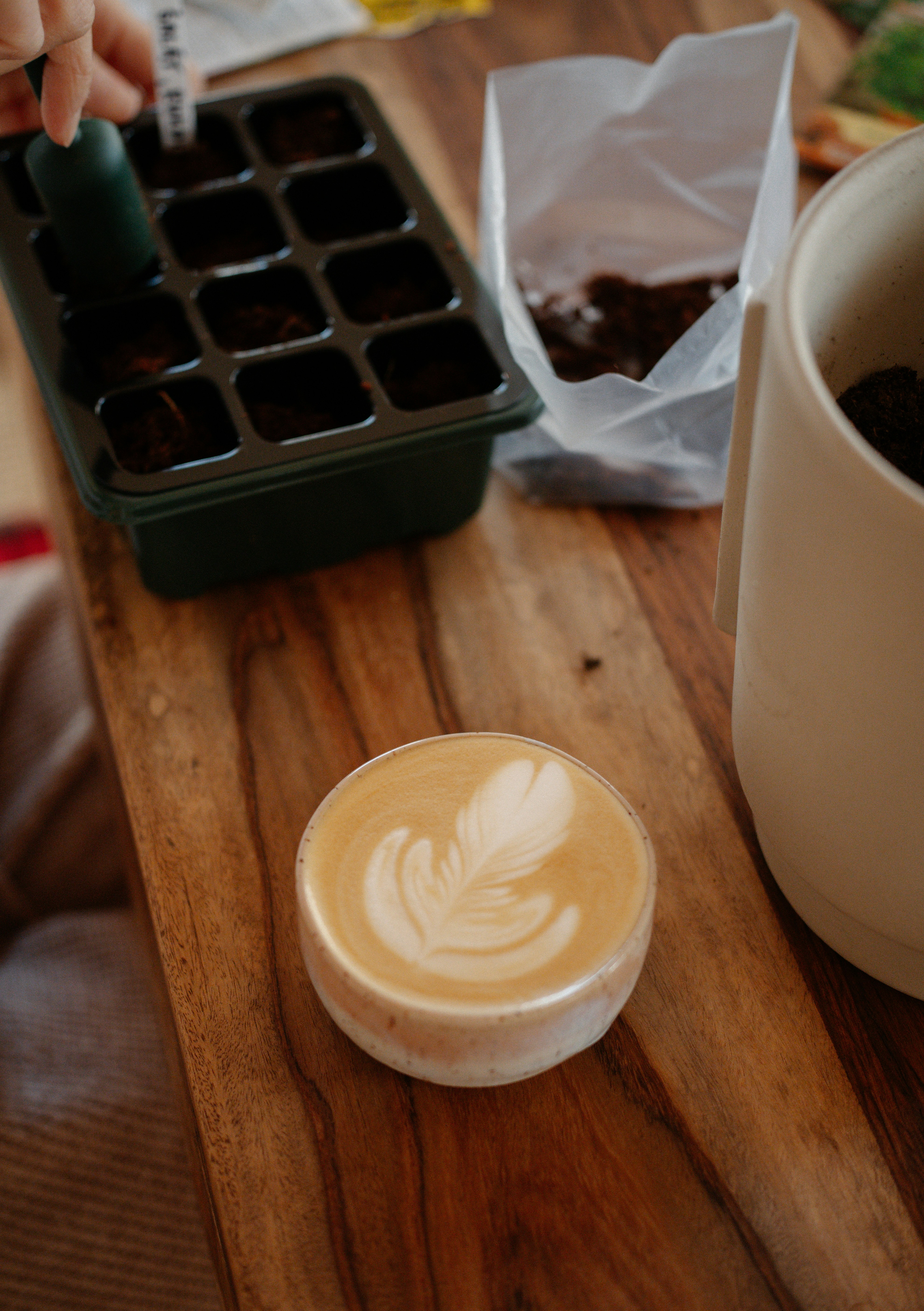 Photo by raymondpetrik