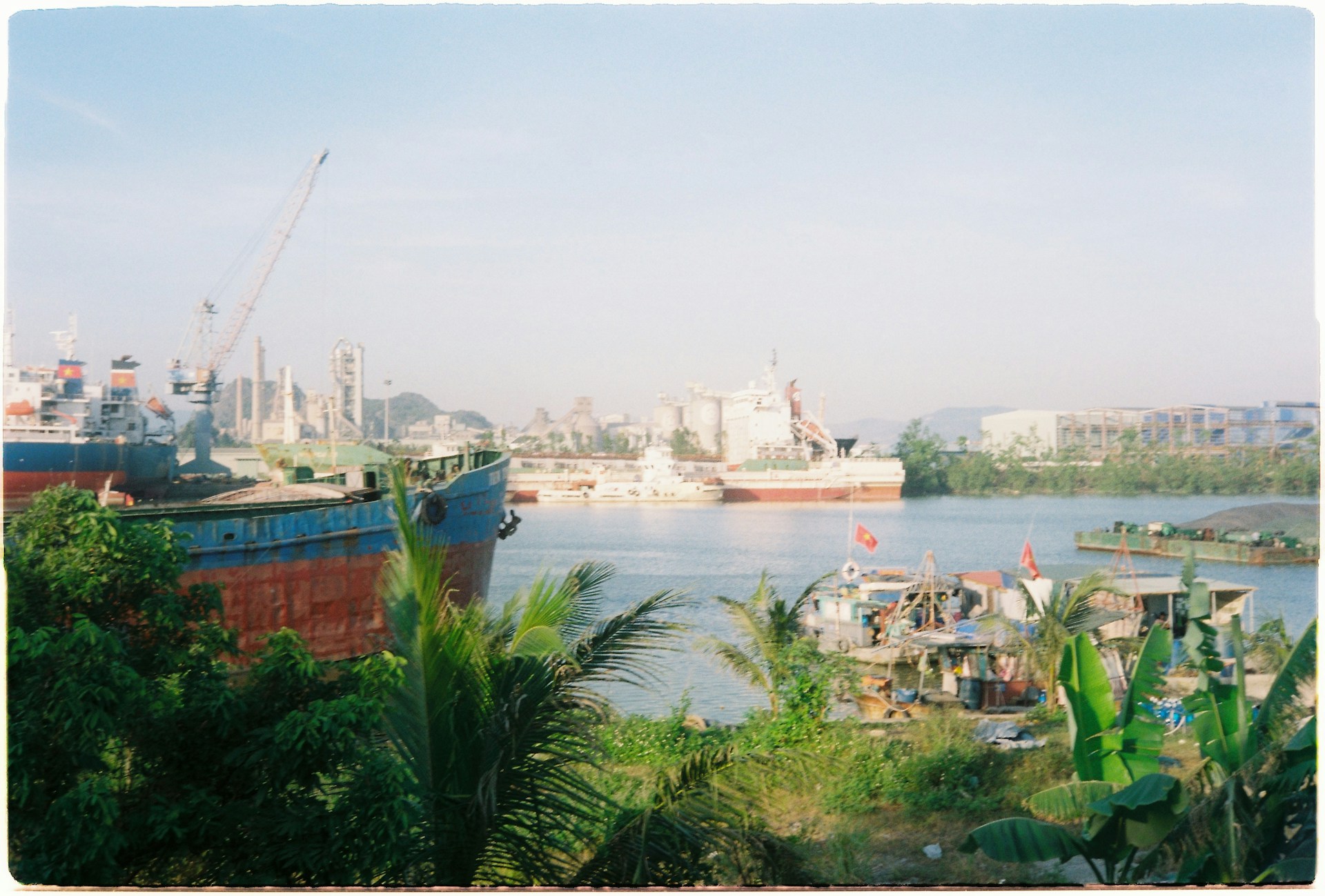 A large body of water surrounded by trees and buildings