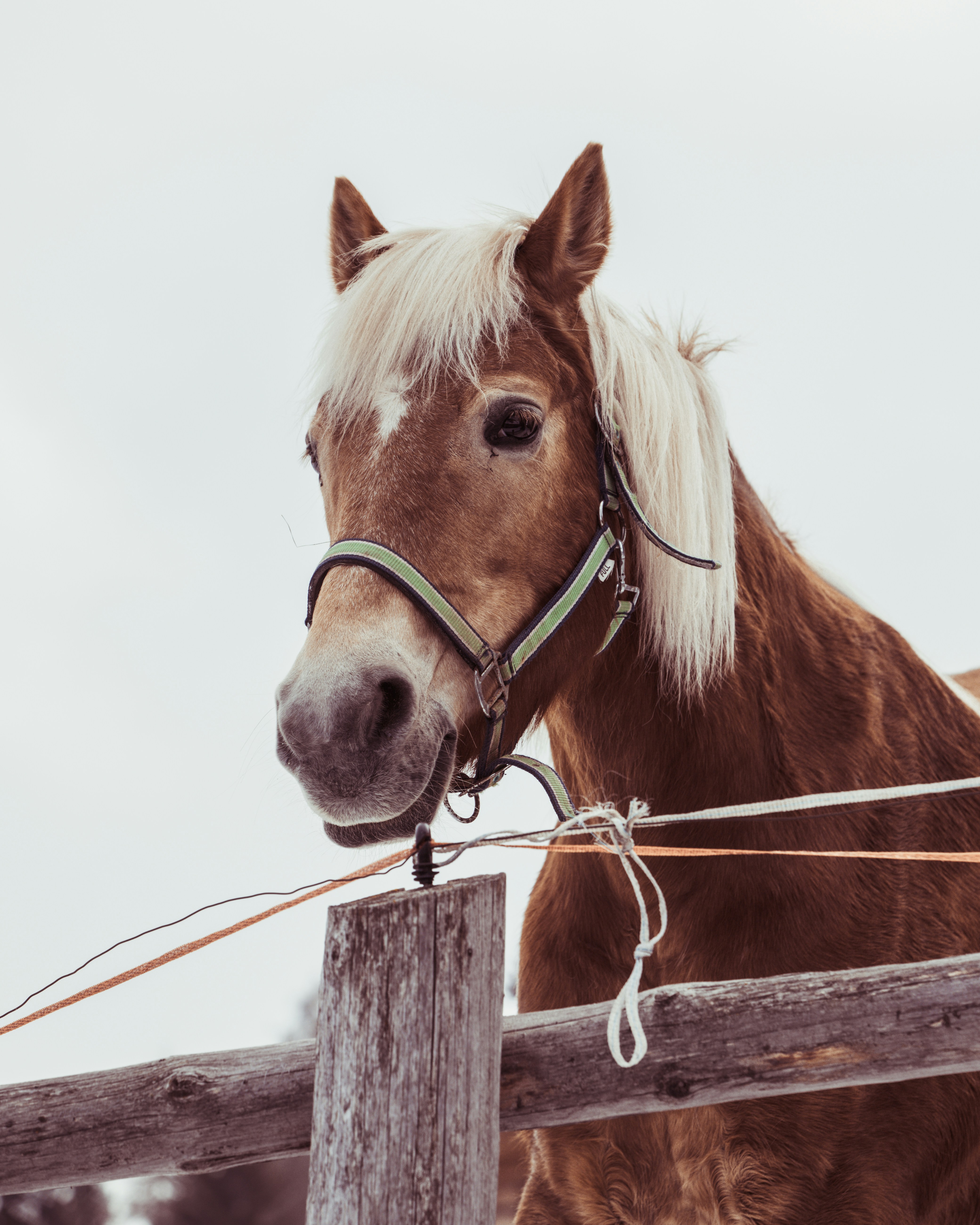 Photo by shutter_speed_