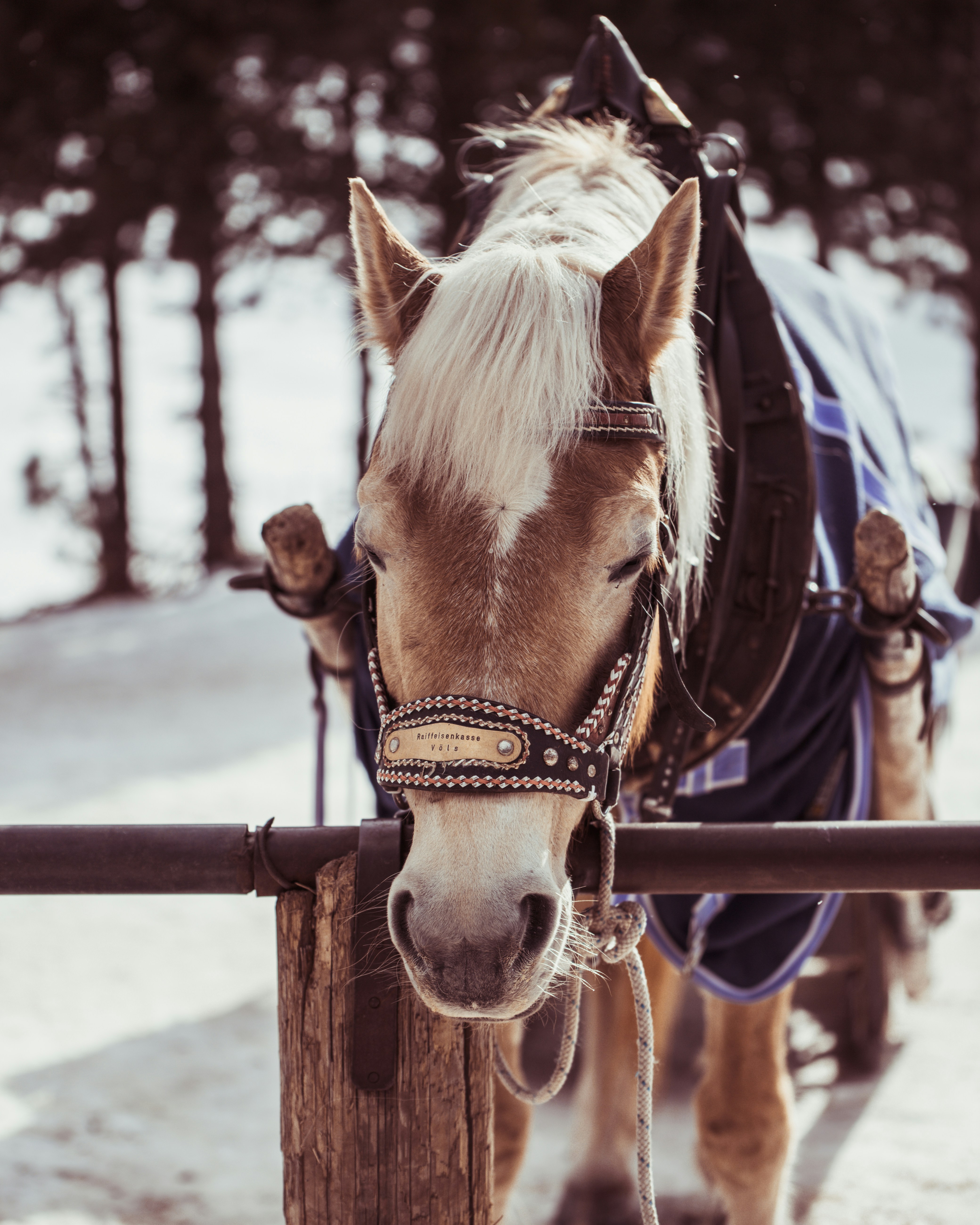 Photo by shutter_speed_