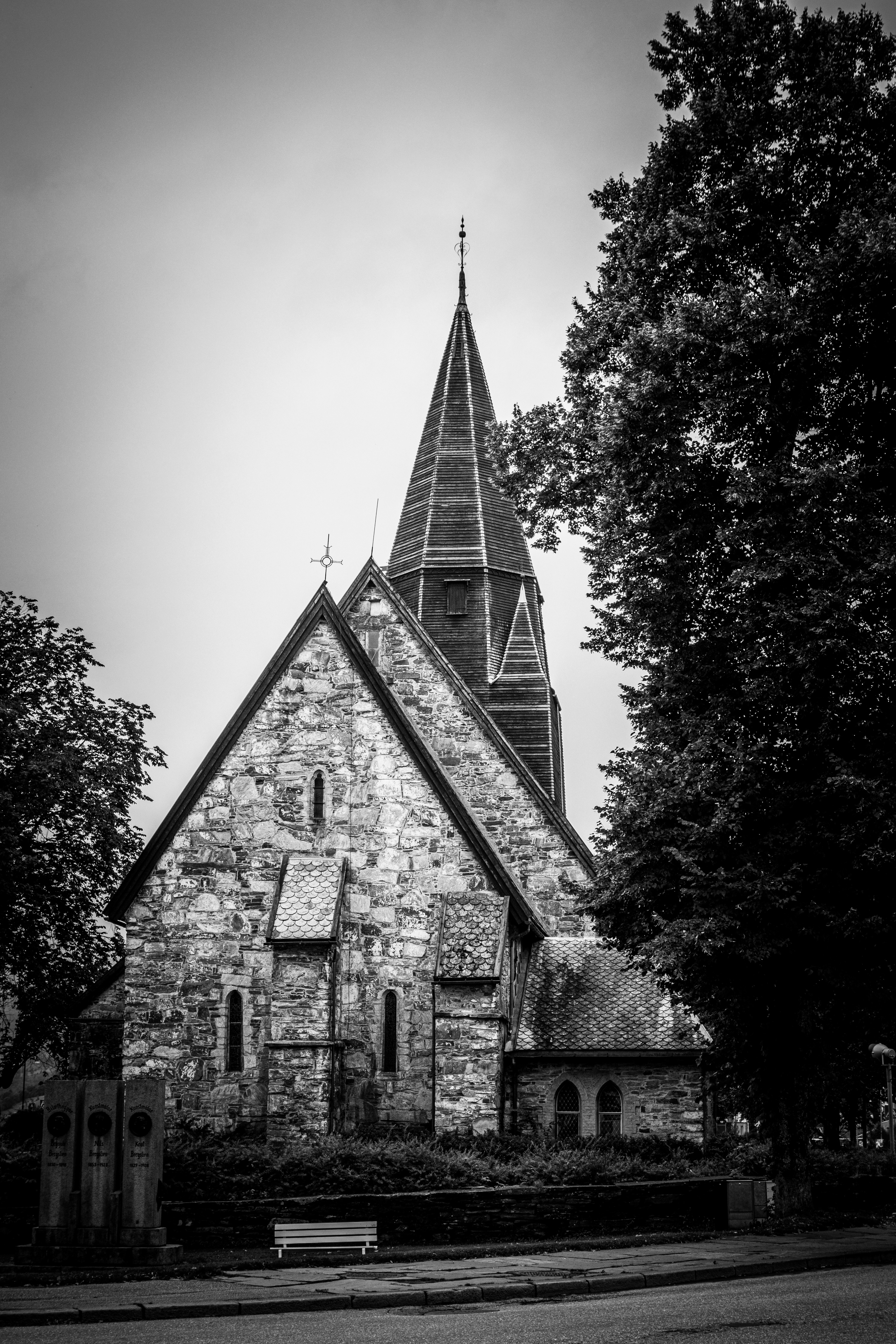 Photo by modry_dinosaurus