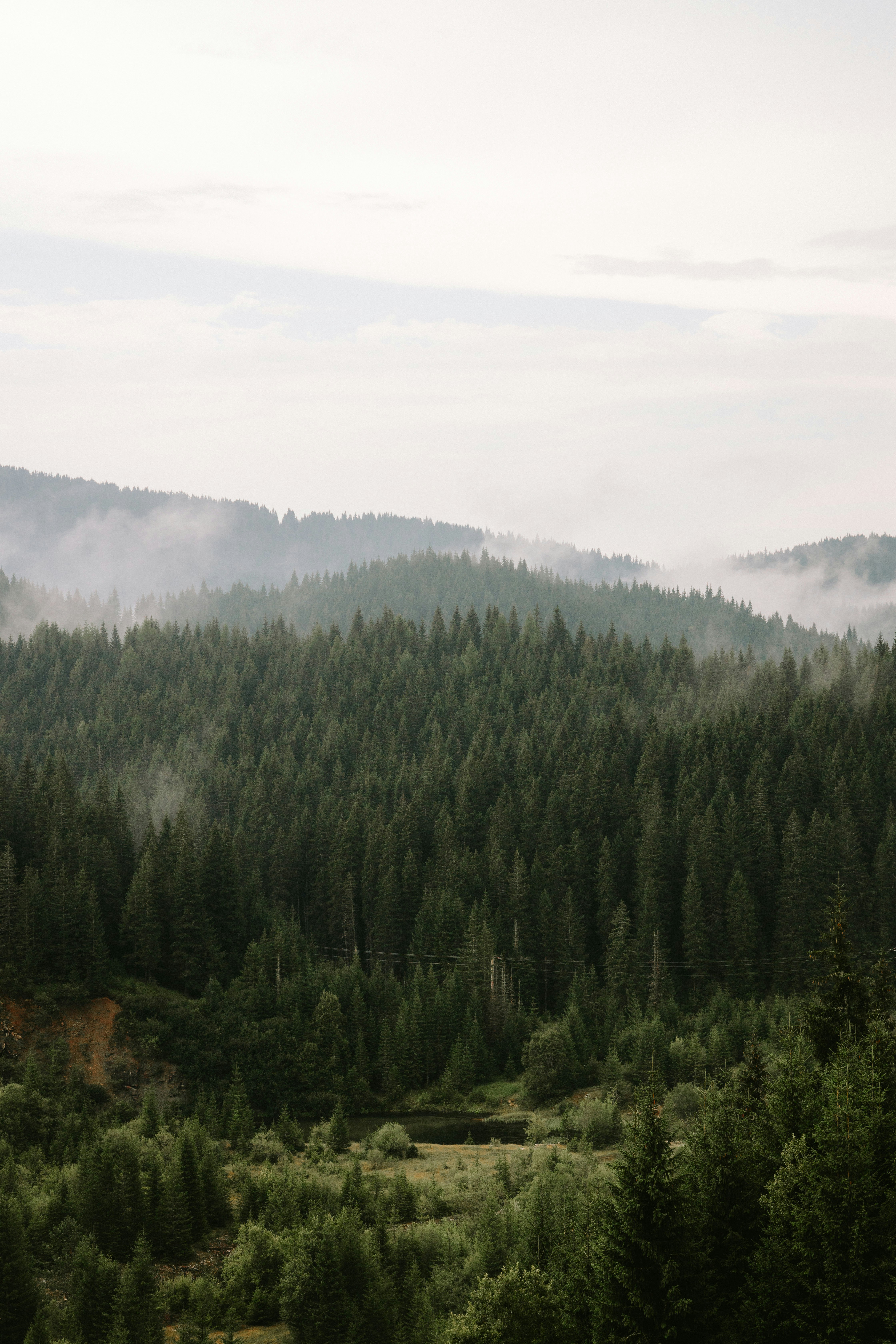 Photo by observationalme