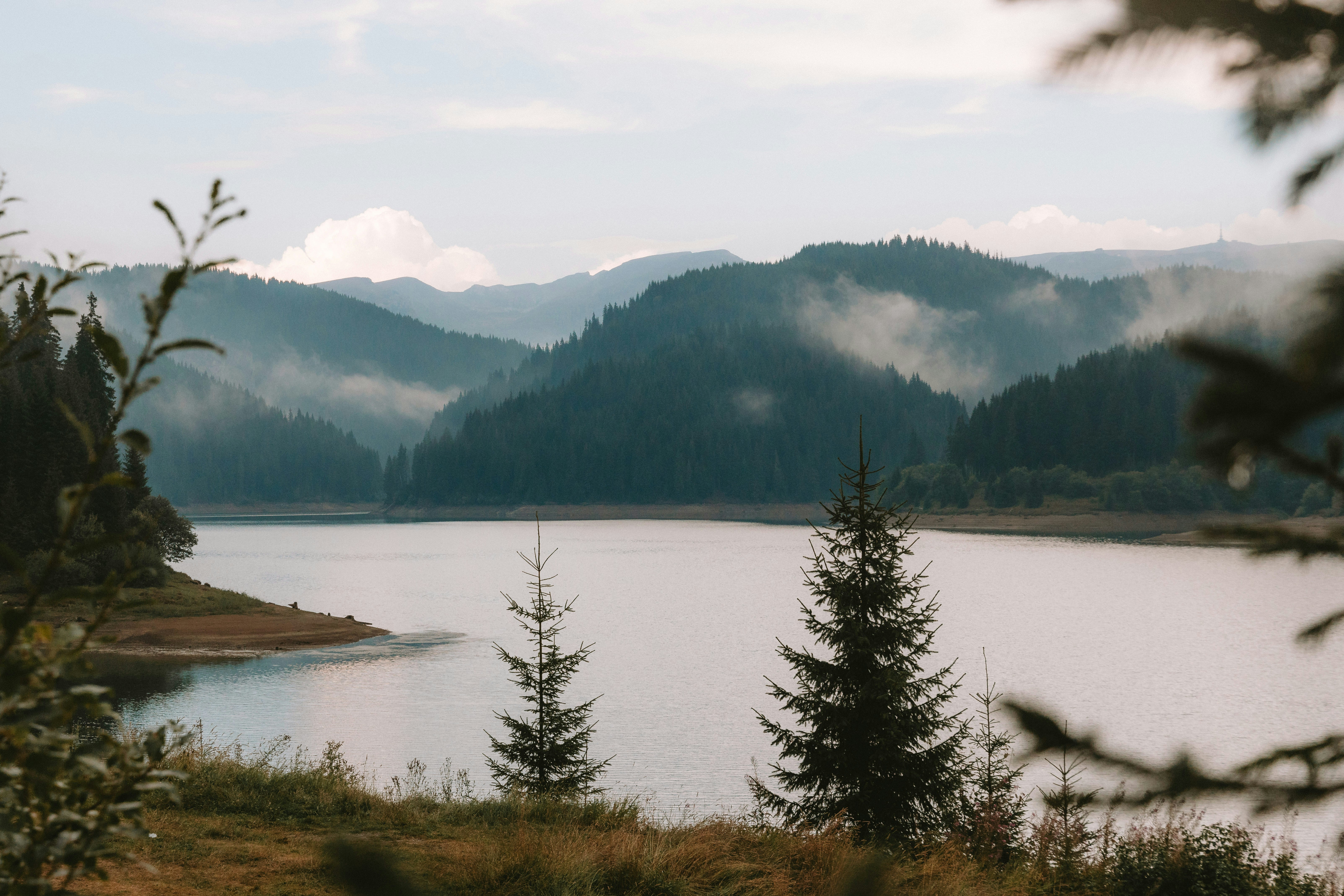 Photo by observationalme