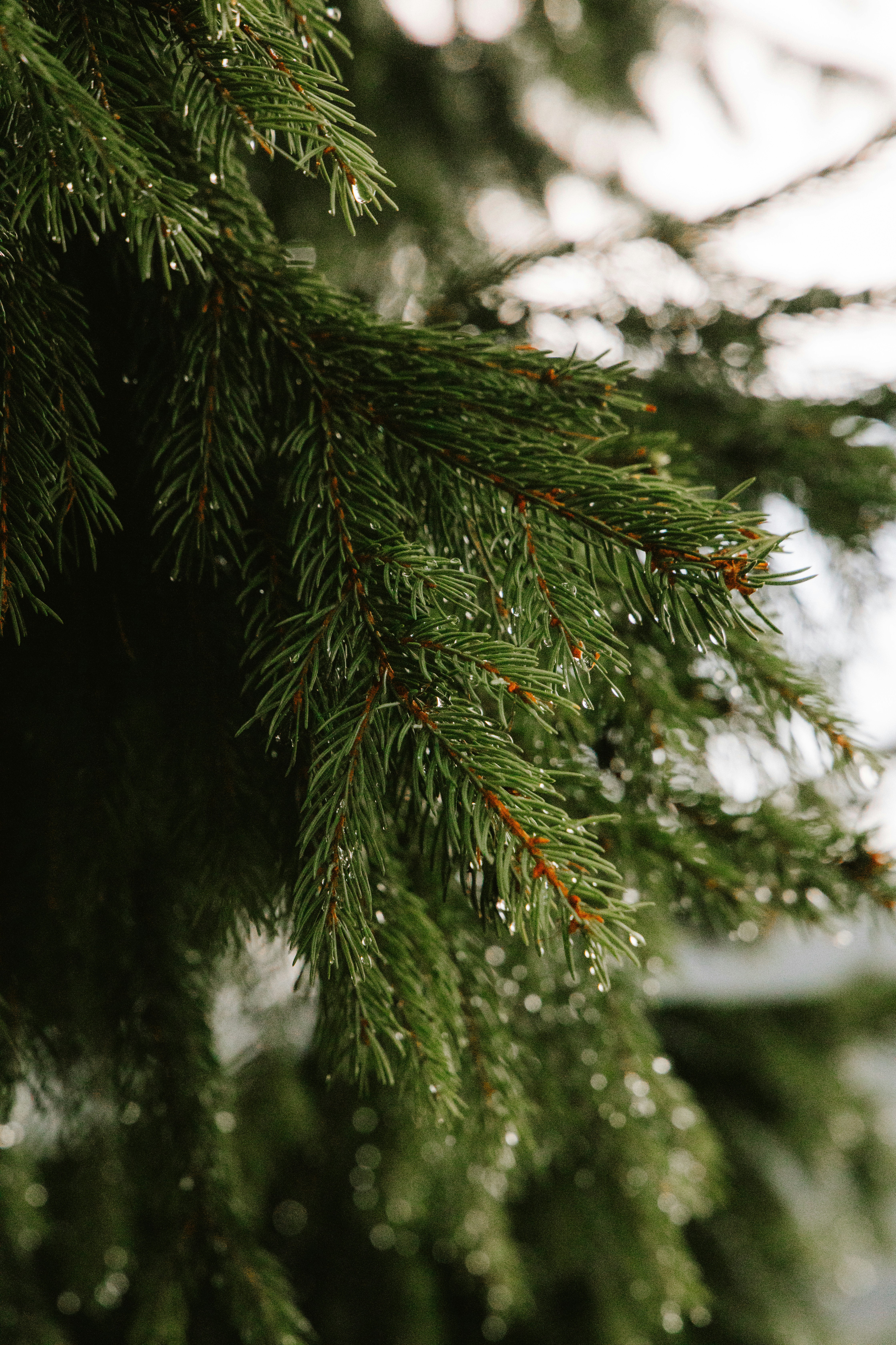 Photo by observationalme