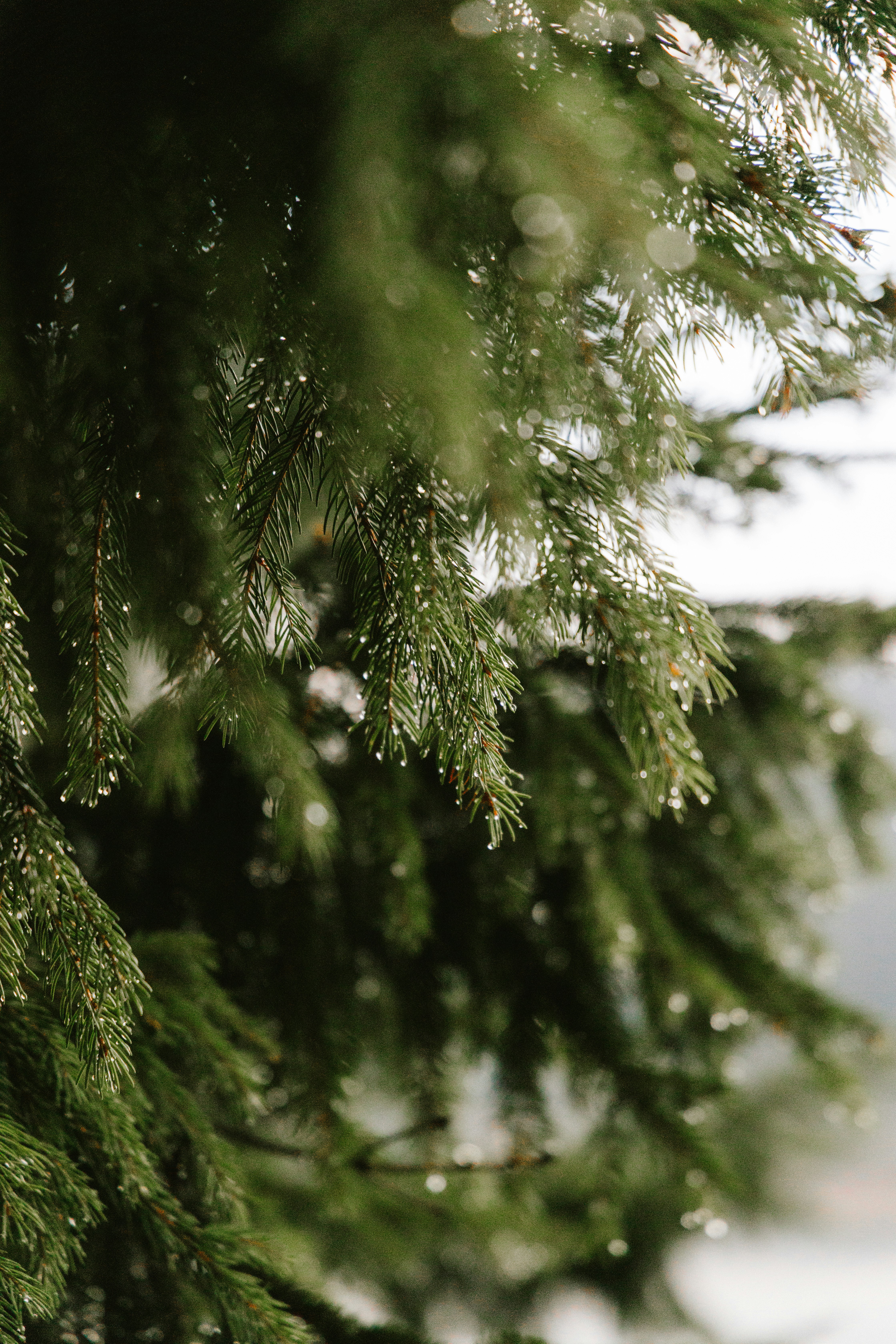 Photo by observationalme