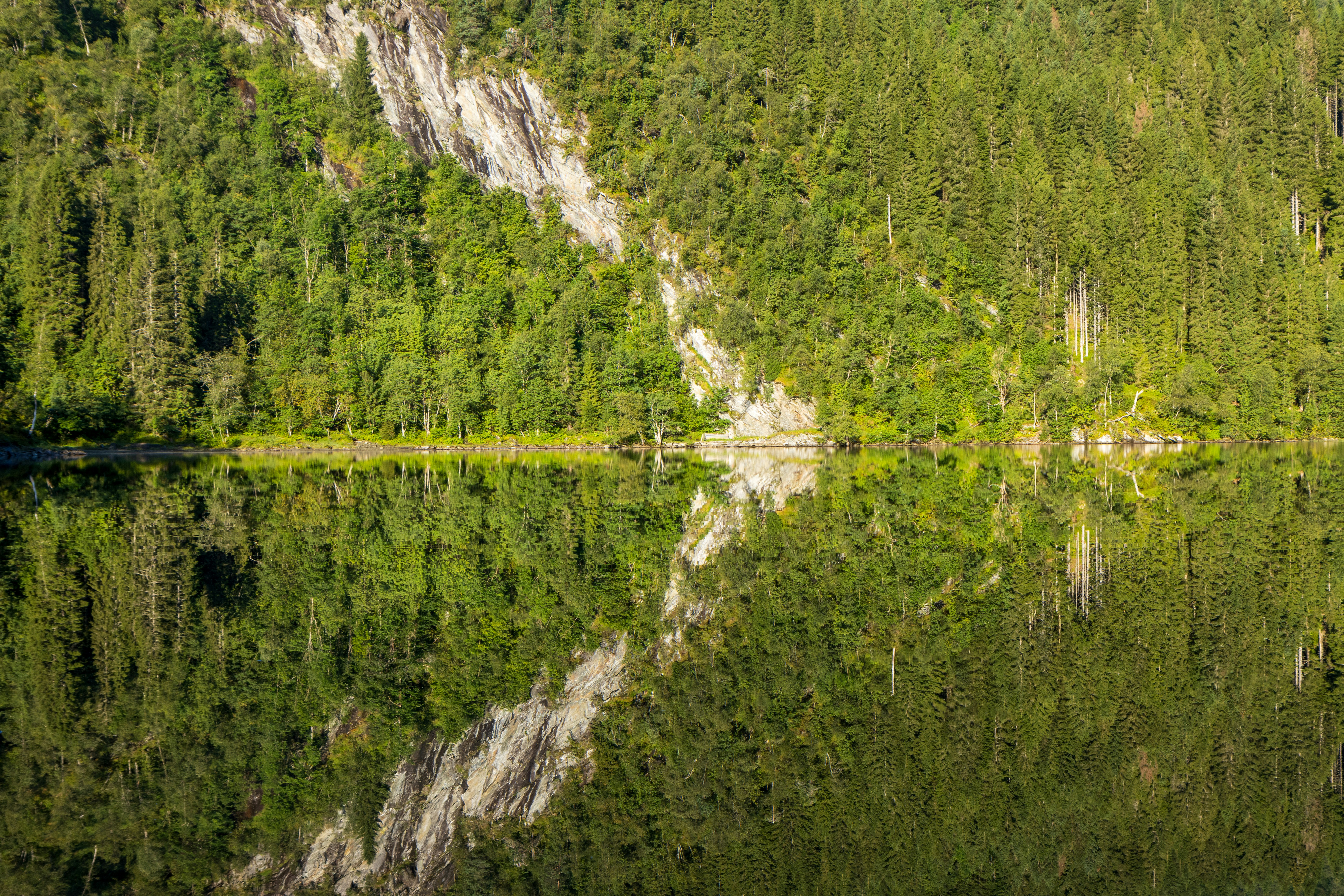 Photo by modry_dinosaurus