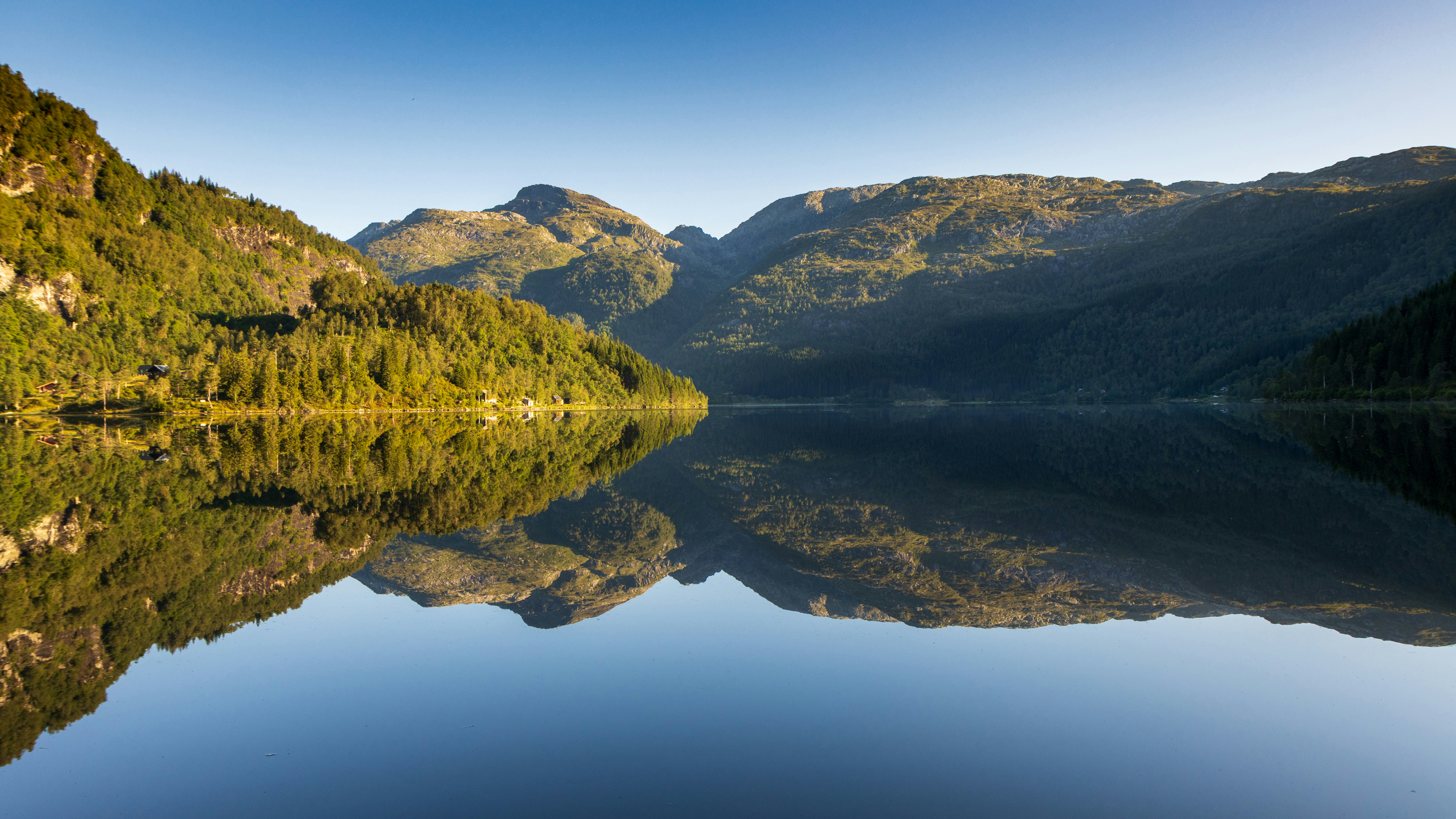 Photo by modry_dinosaurus