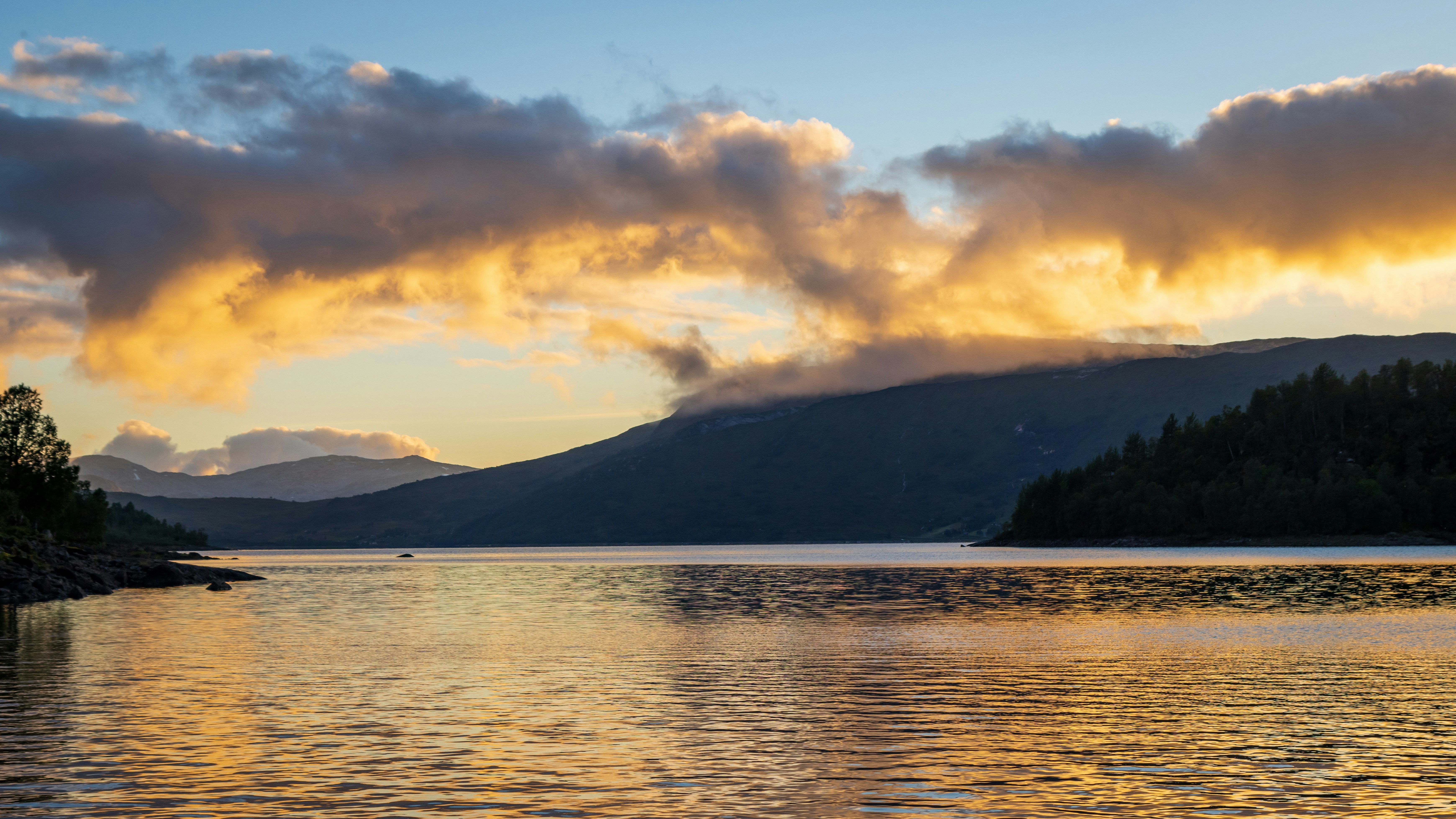 Photo by modry_dinosaurus