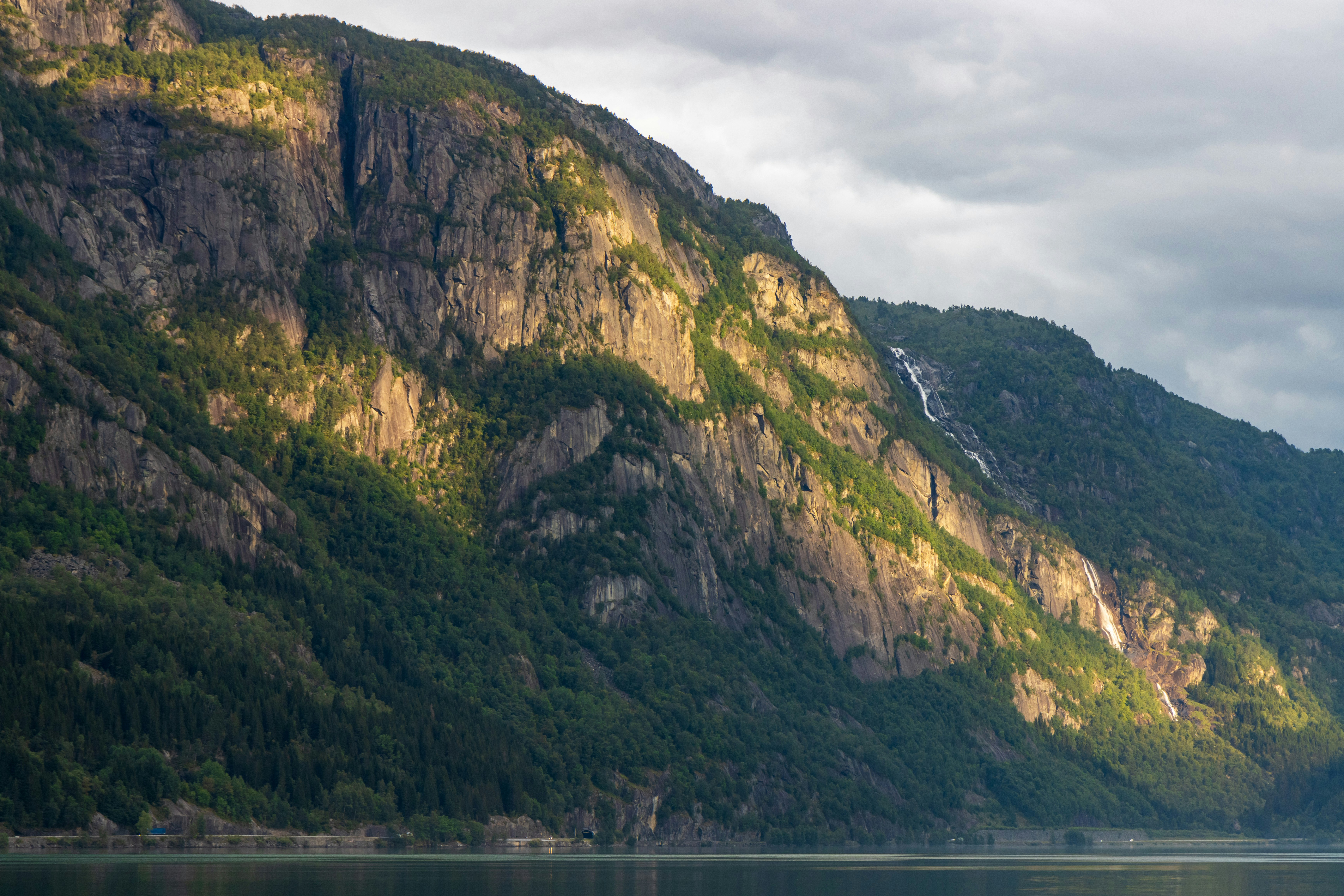 Photo by modry_dinosaurus