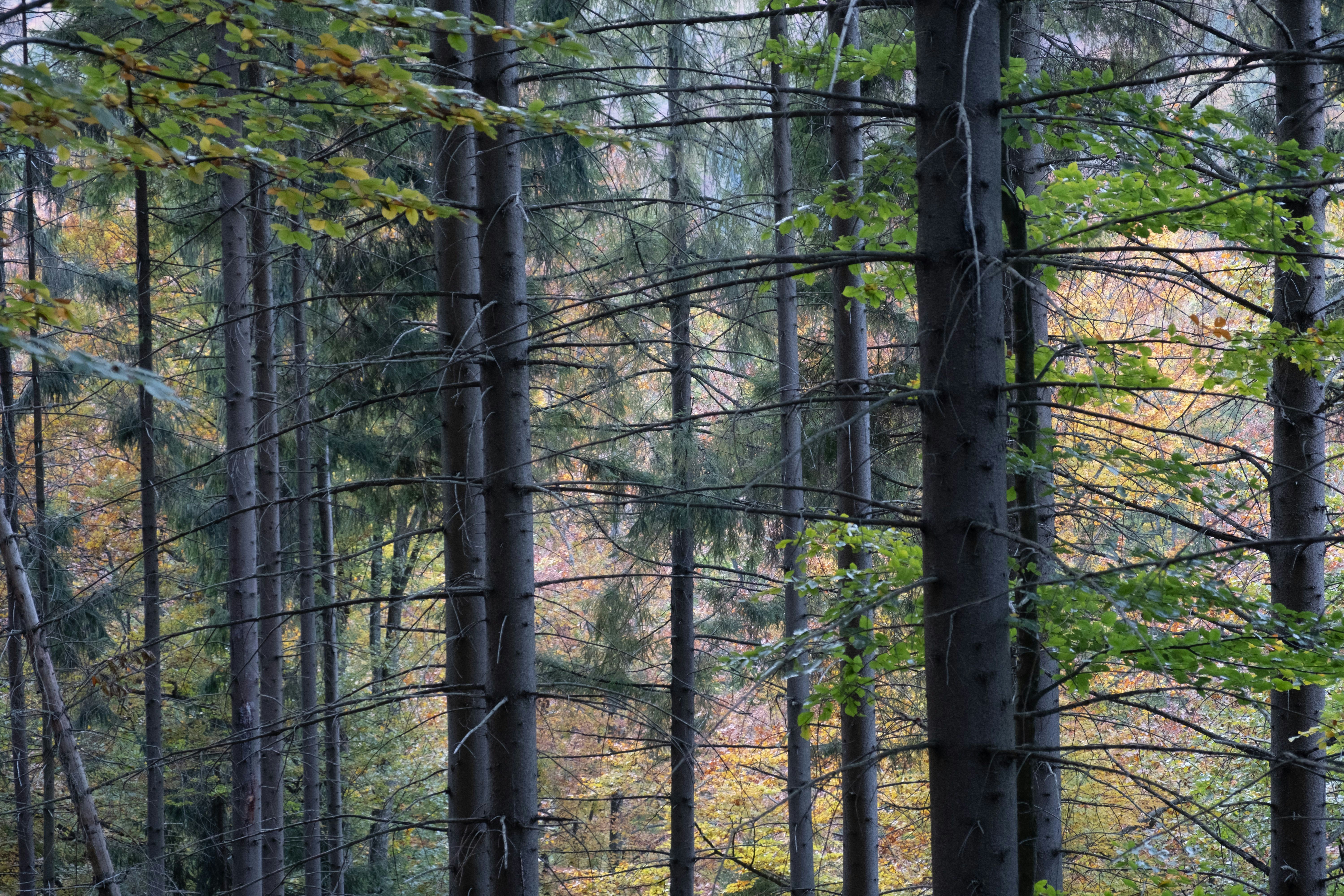 Photo by sevencolors