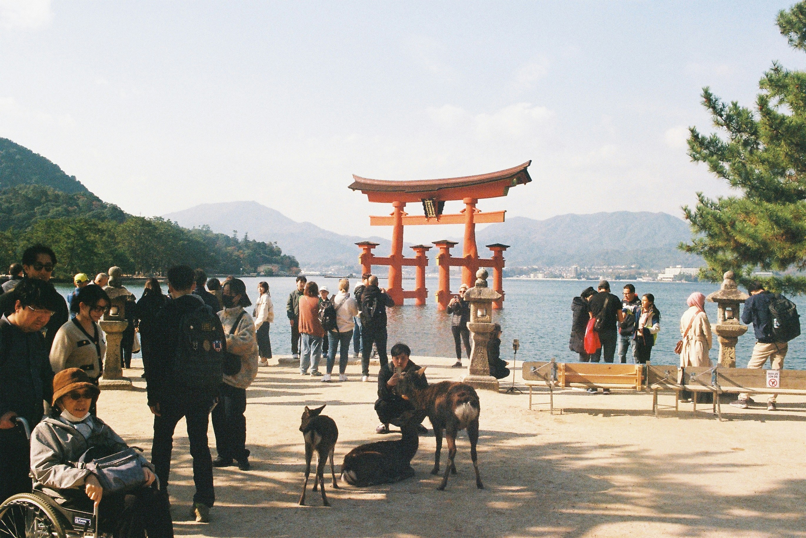 A group of people standing next to a body of water