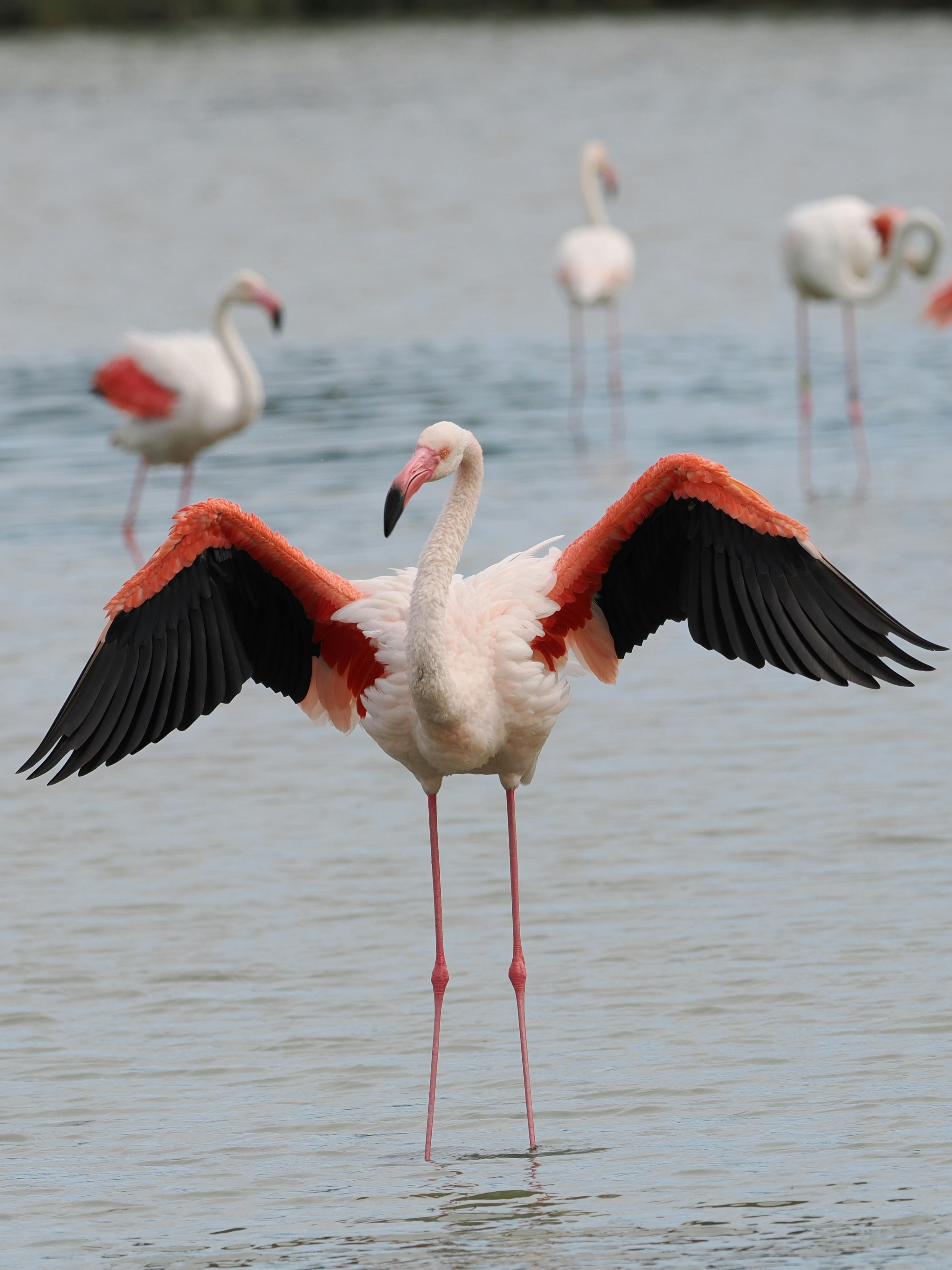 Photo by andrechatroux