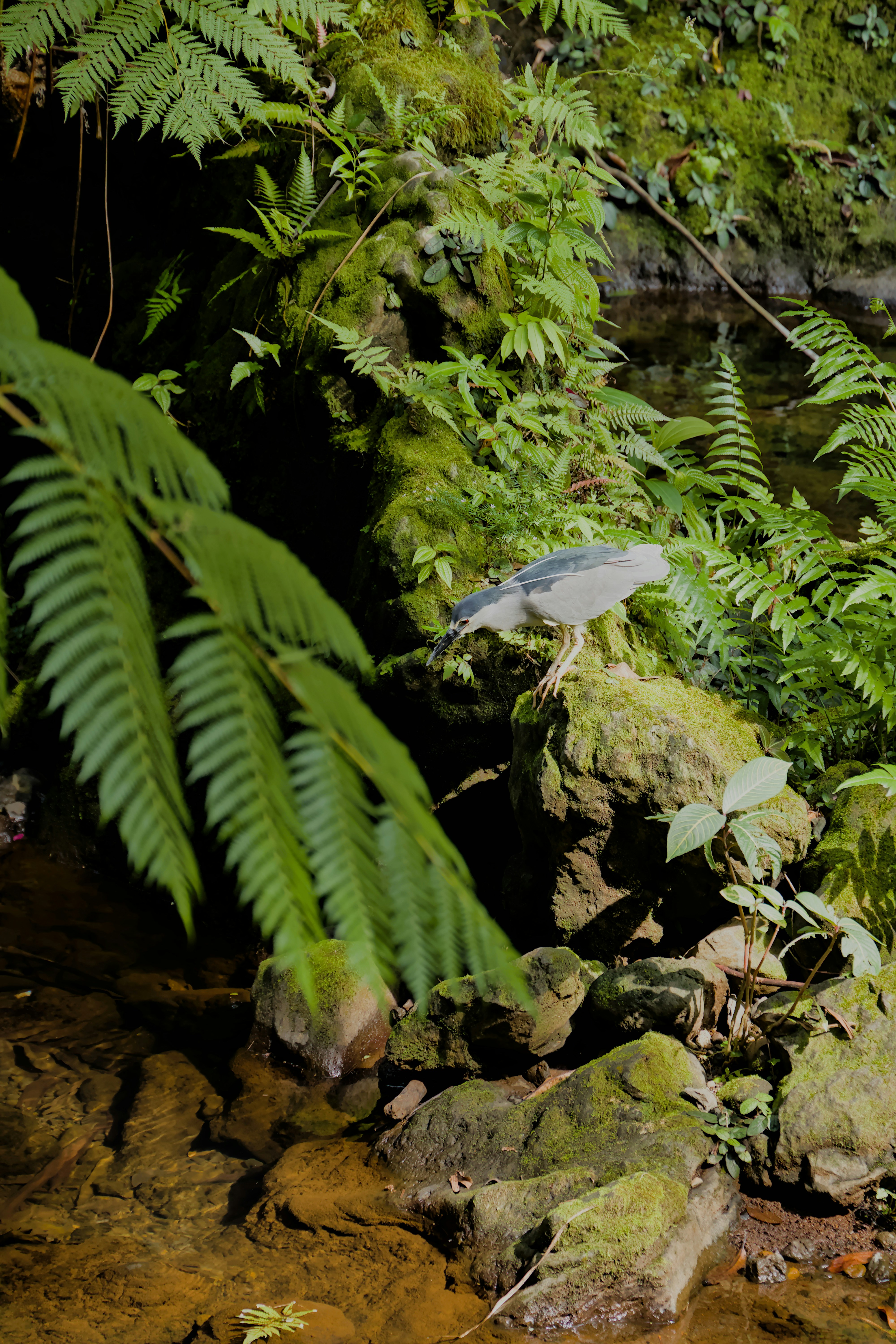 Photo by carbonmonoxide