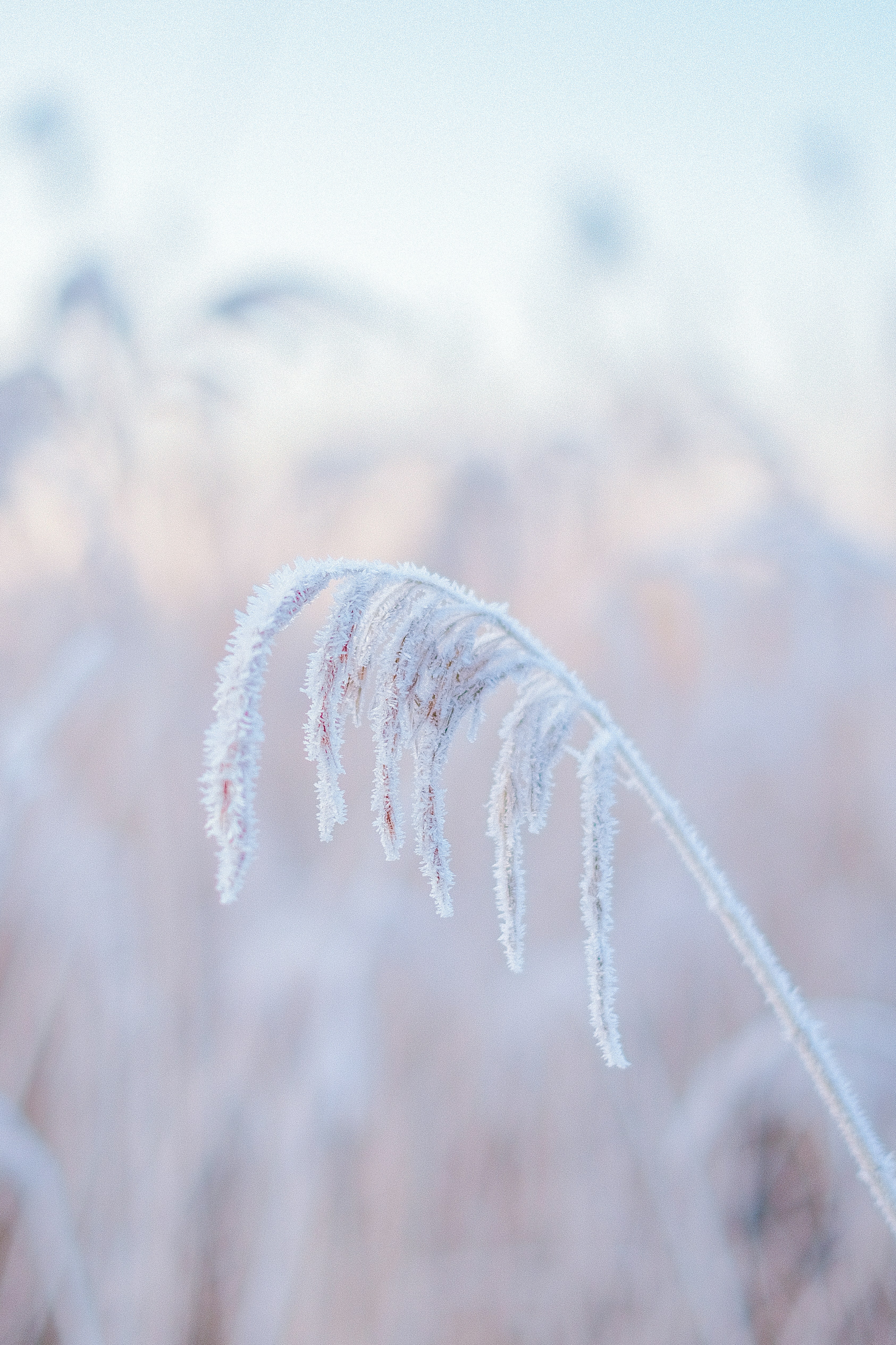 Photo by visualsbying