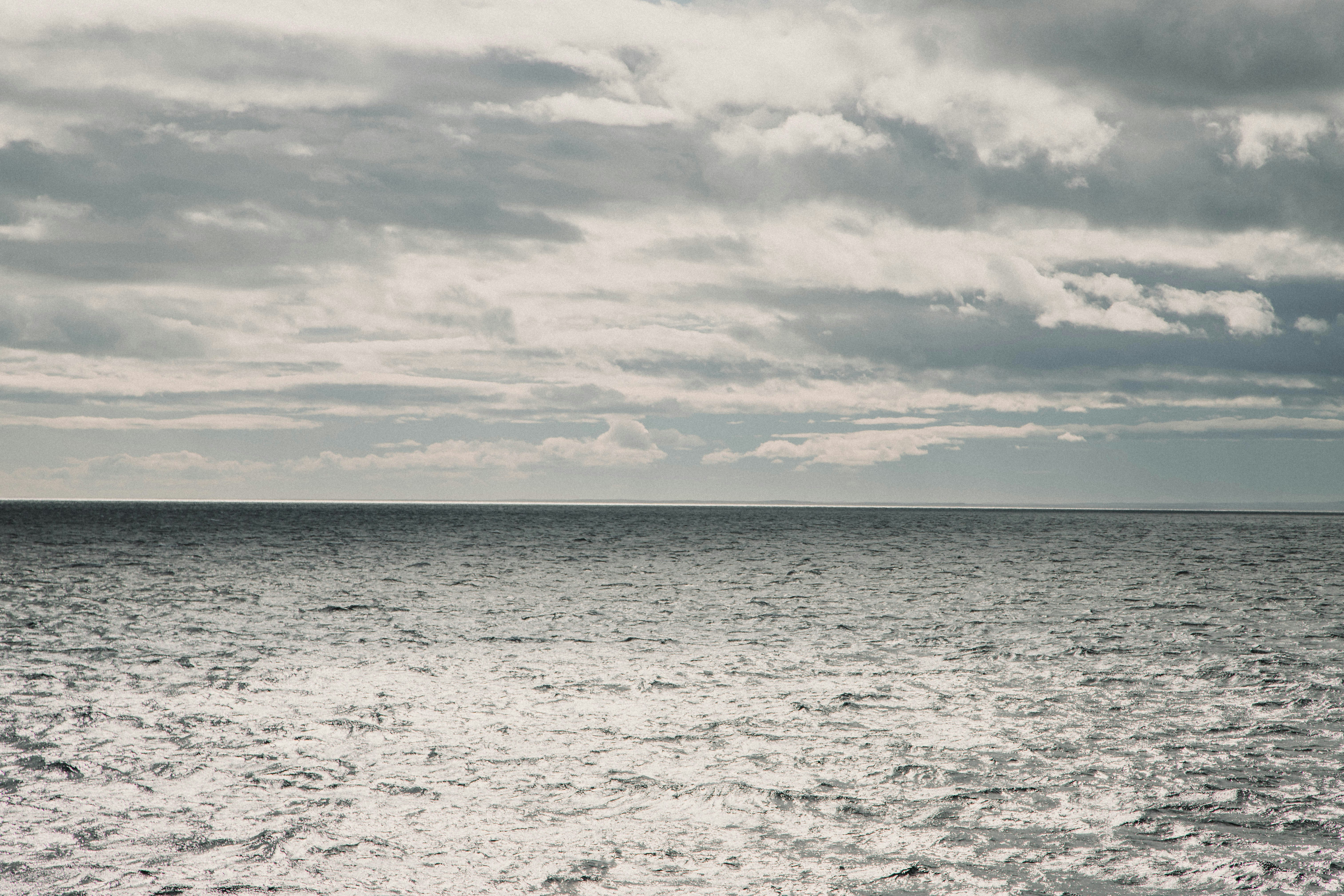 Photo by gustavo0351