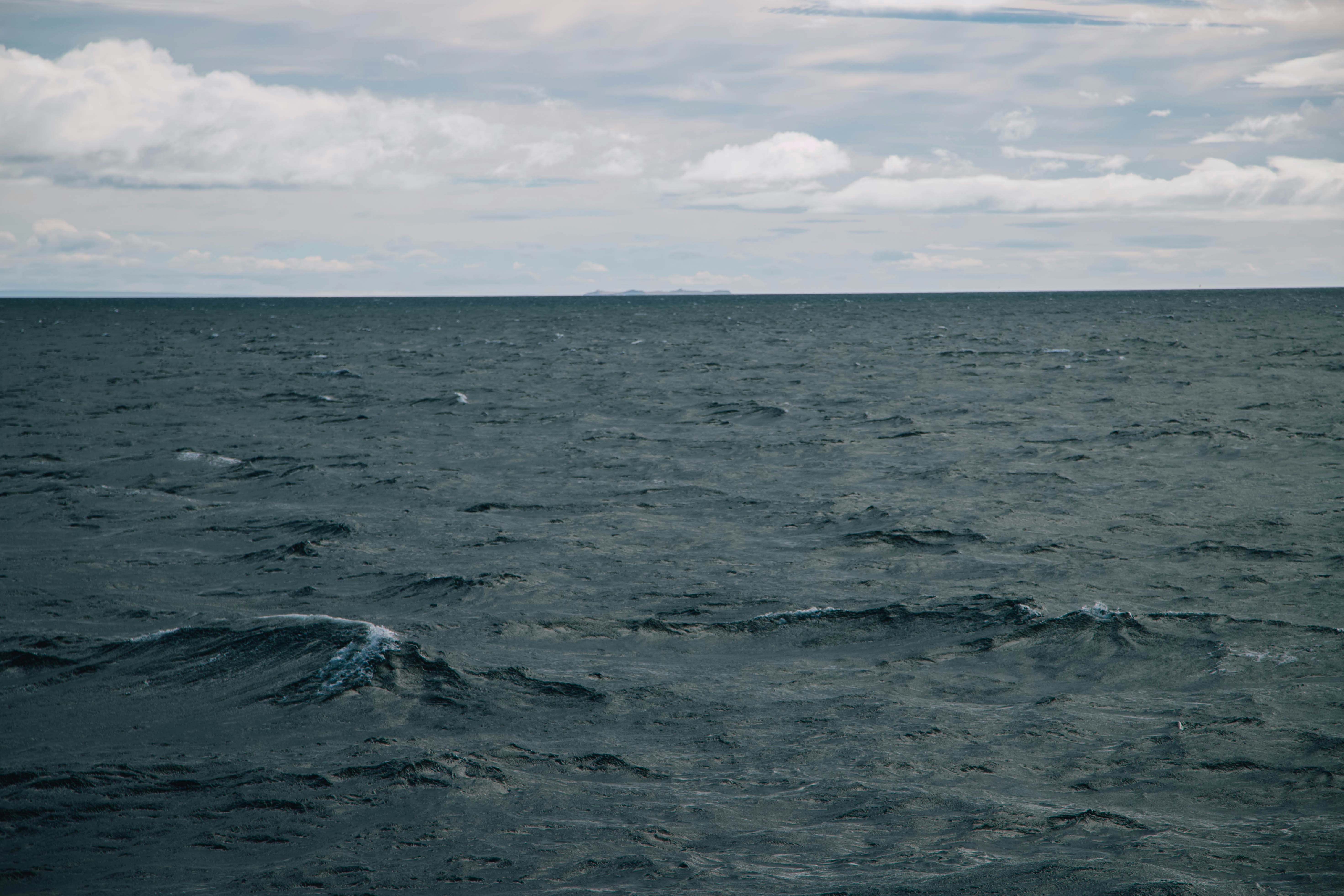 Photo by gustavo0351