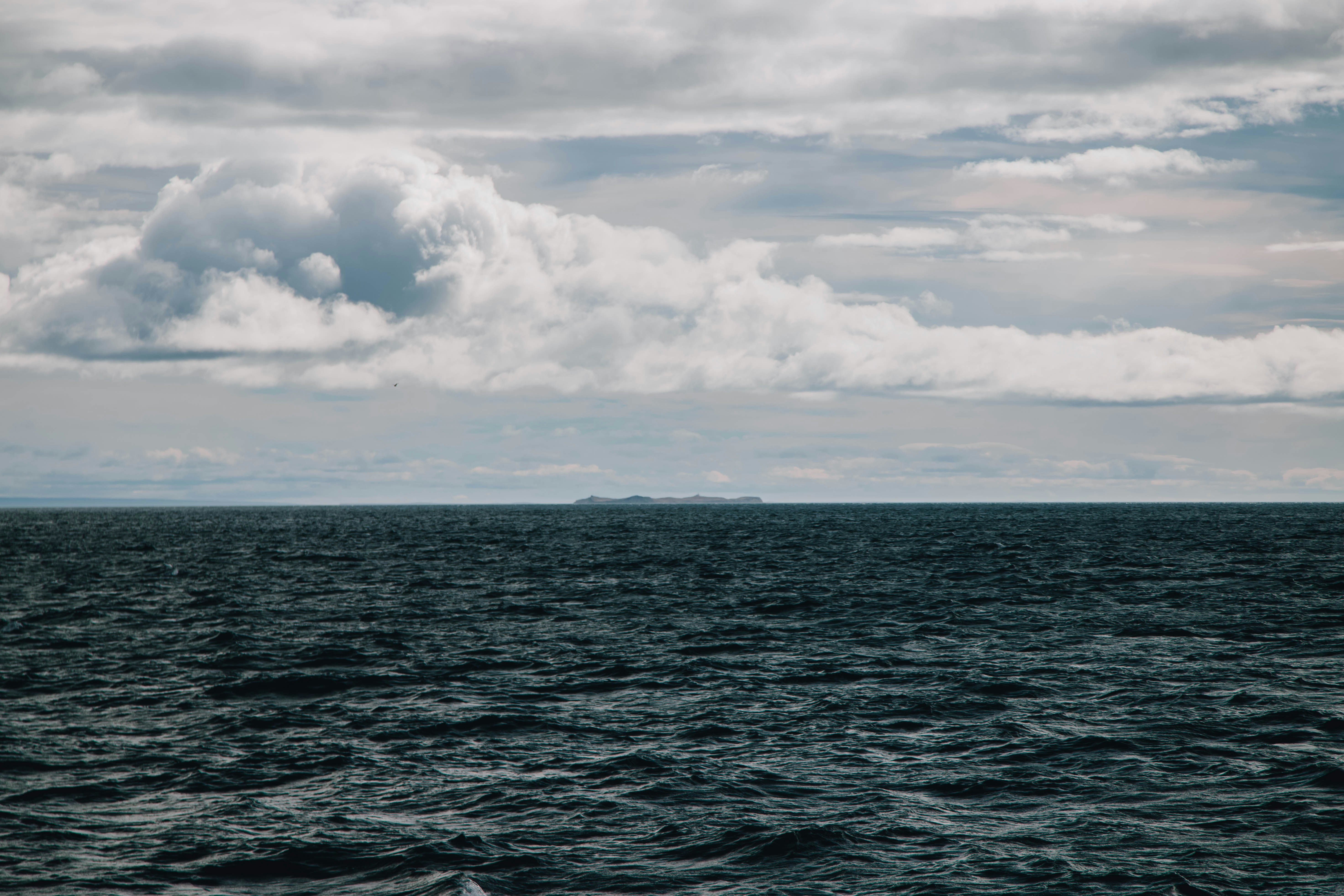 Photo by gustavo0351