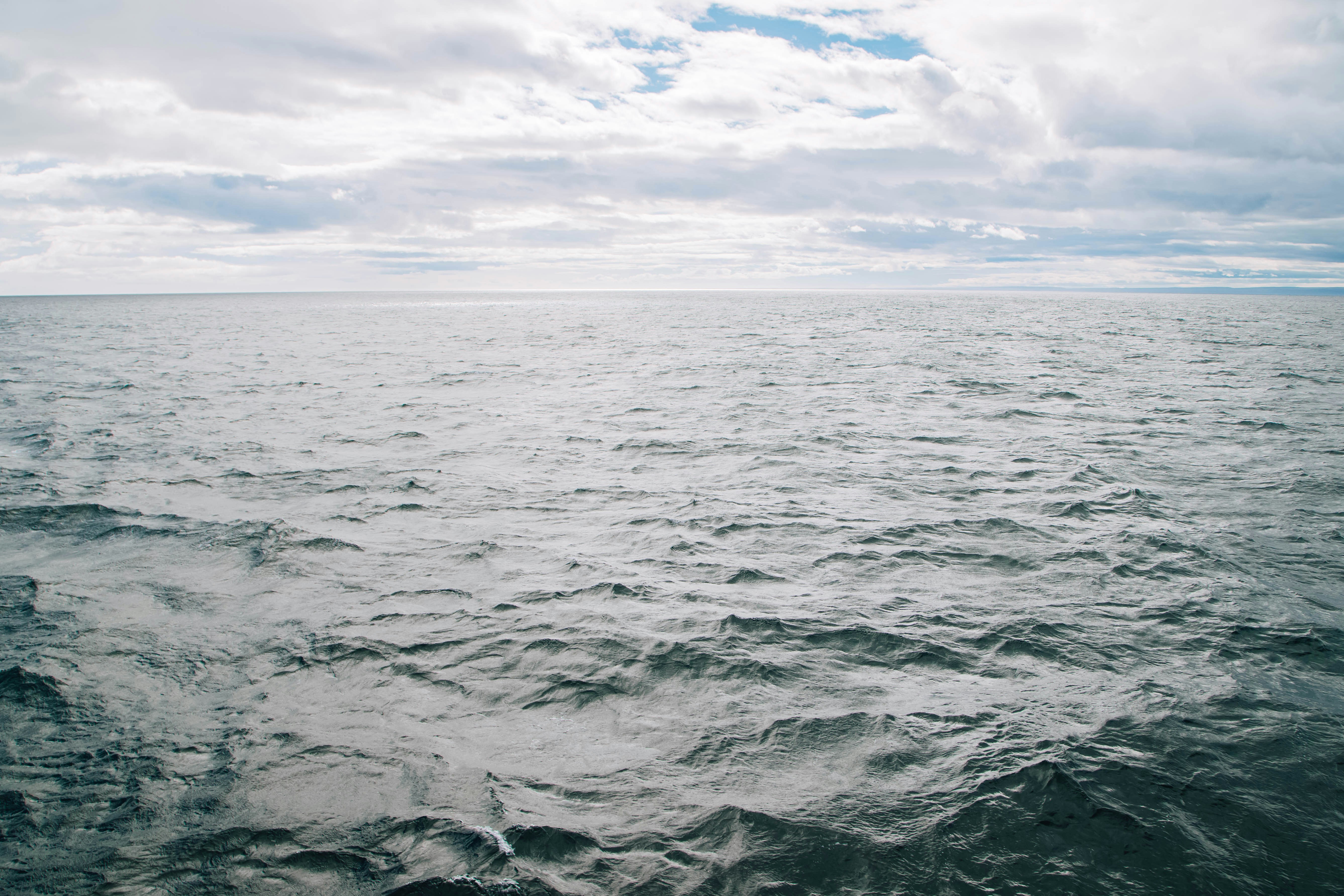 Photo by gustavo0351