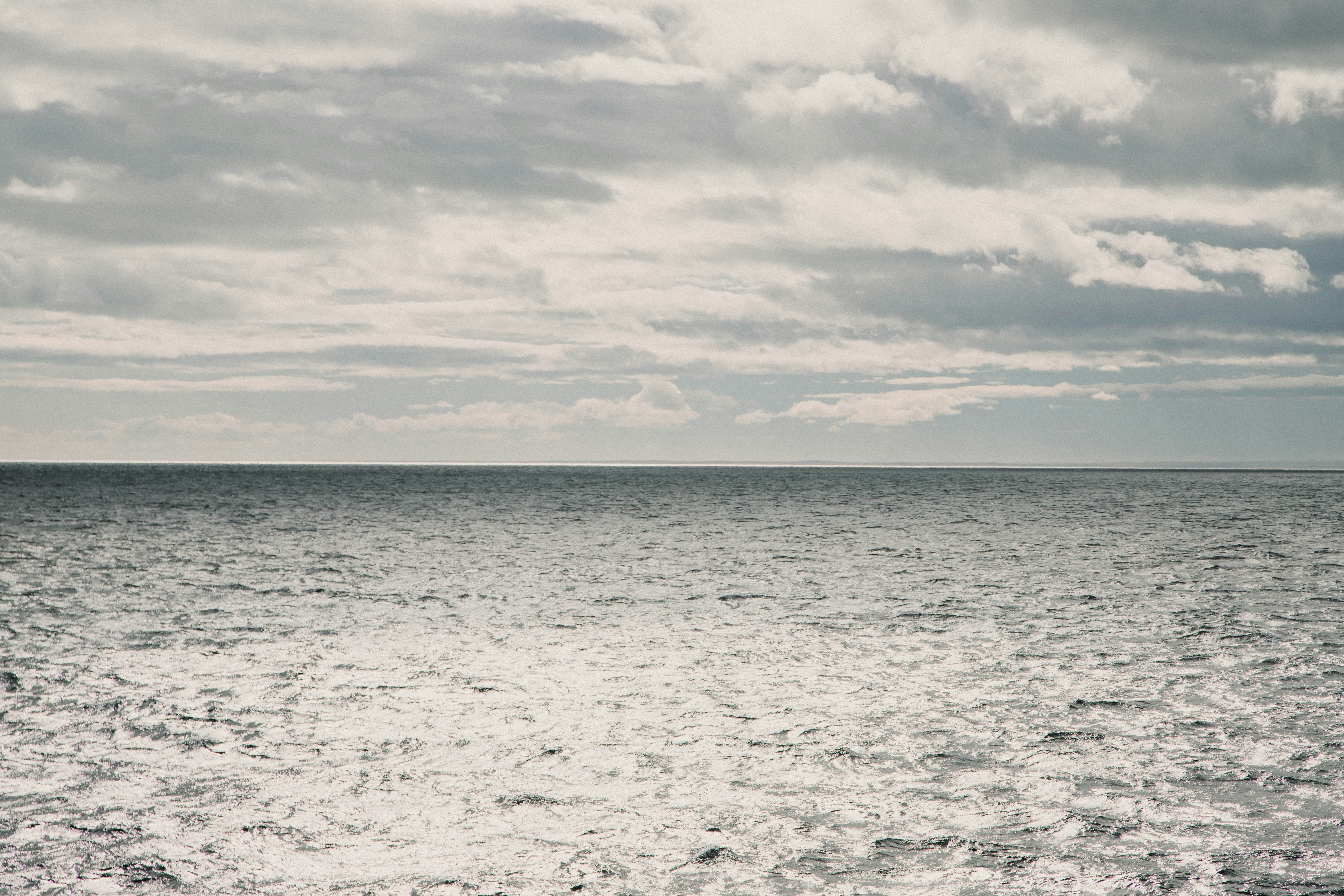 Photo by gustavo0351