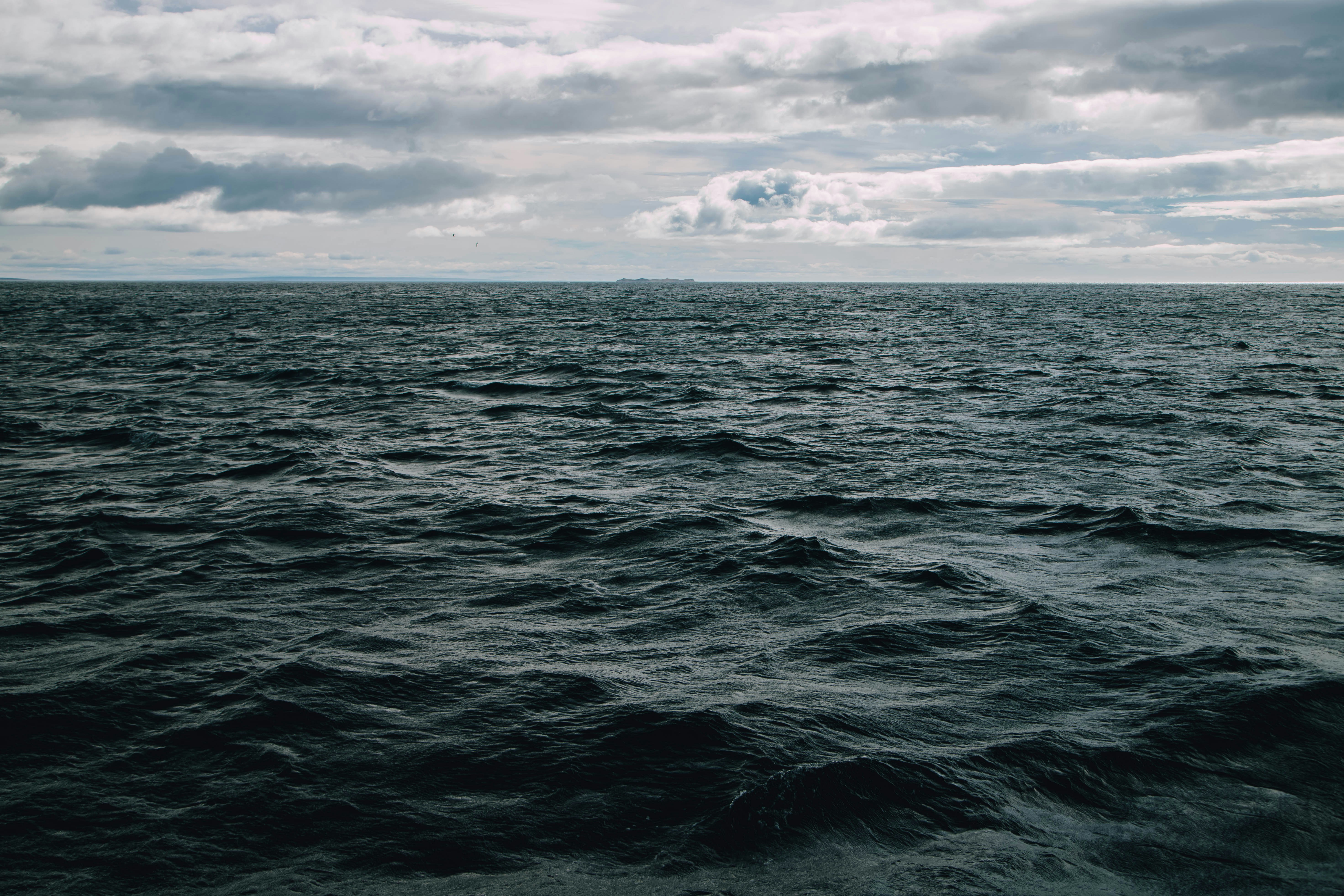 Photo by gustavo0351