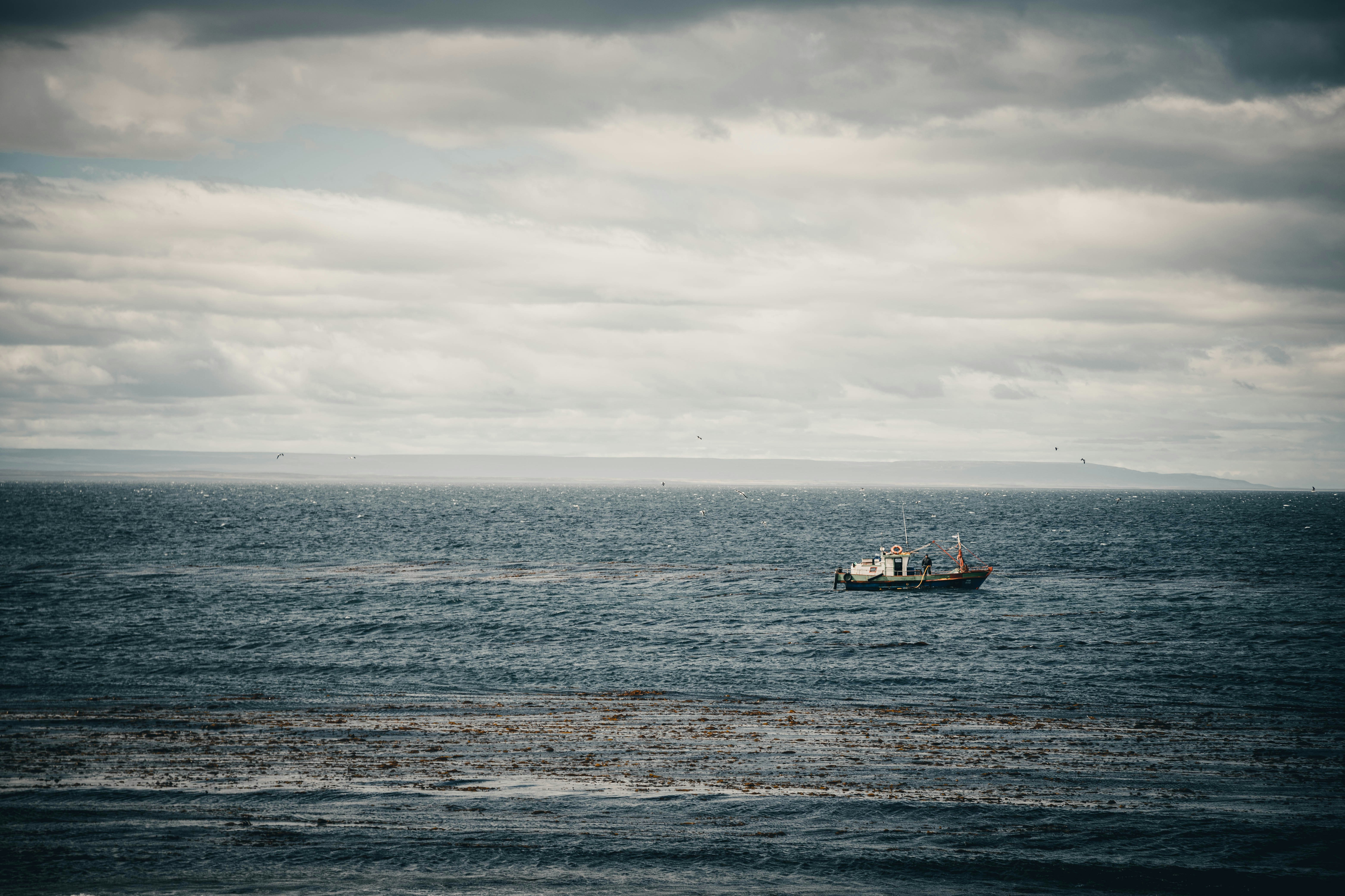 Photo by gustavo0351