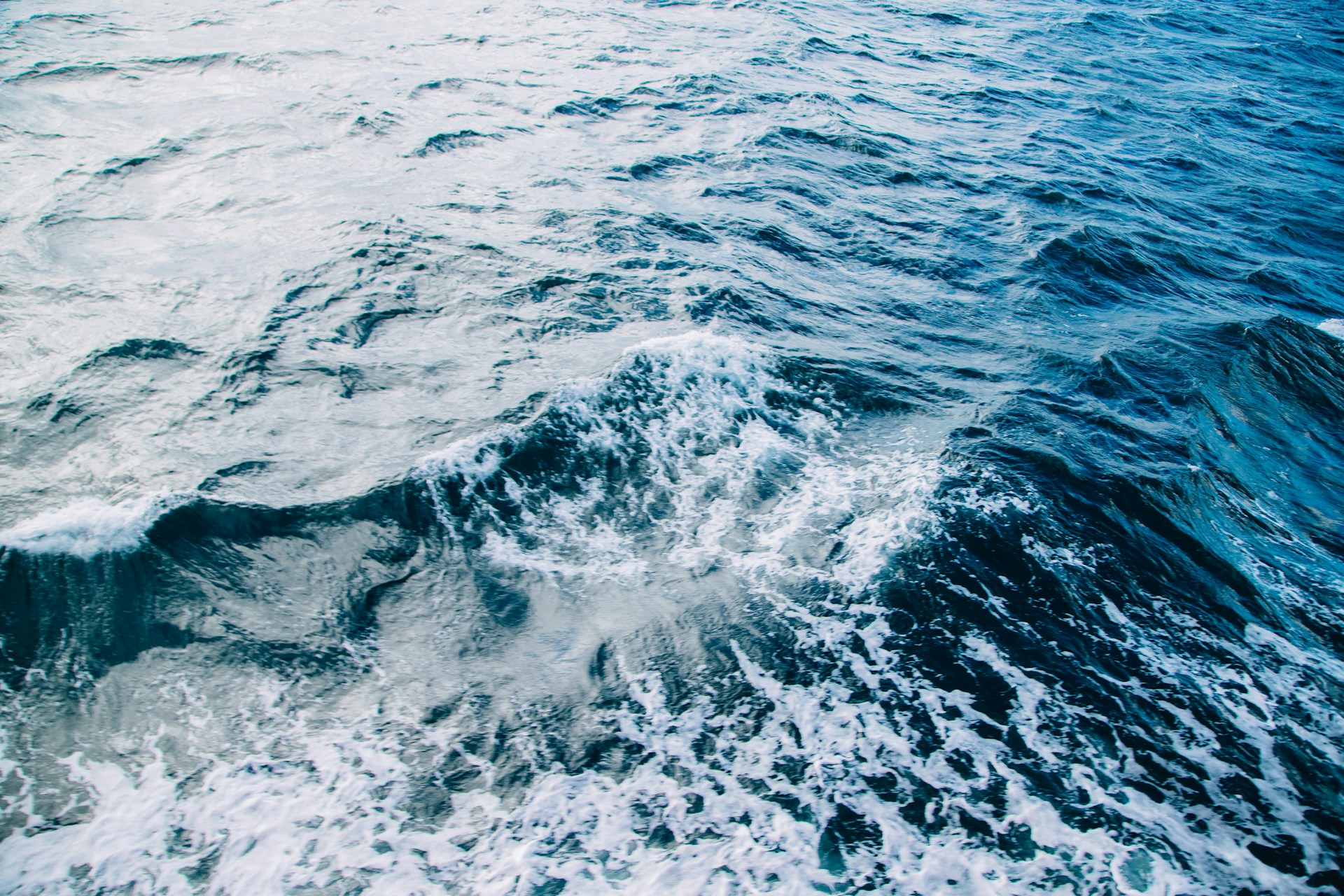A view of a body of water from a boat