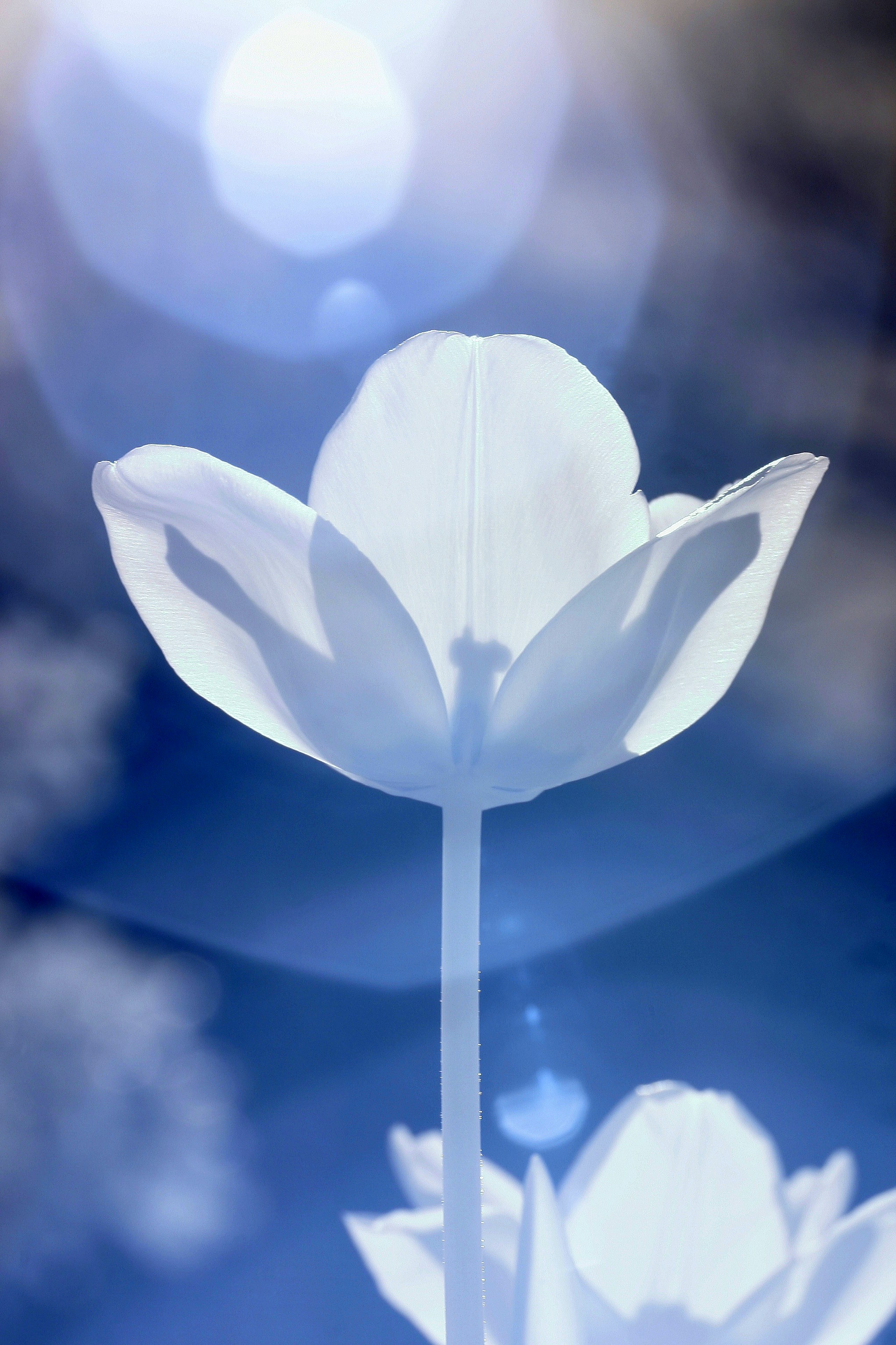 9 Self-Transformation Teachings to Unlock Inner Wisdom