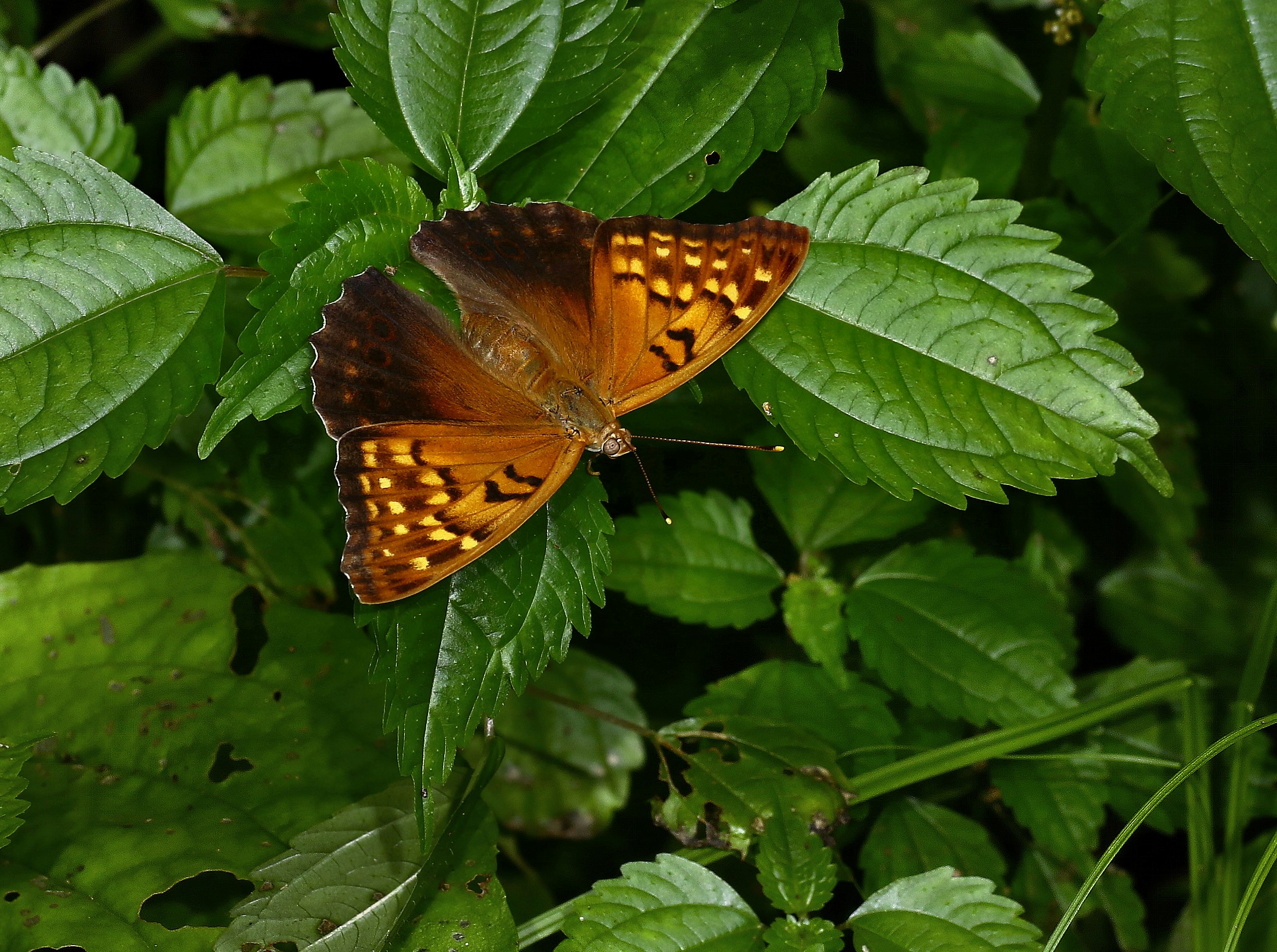 Photo by telliottmbamsc