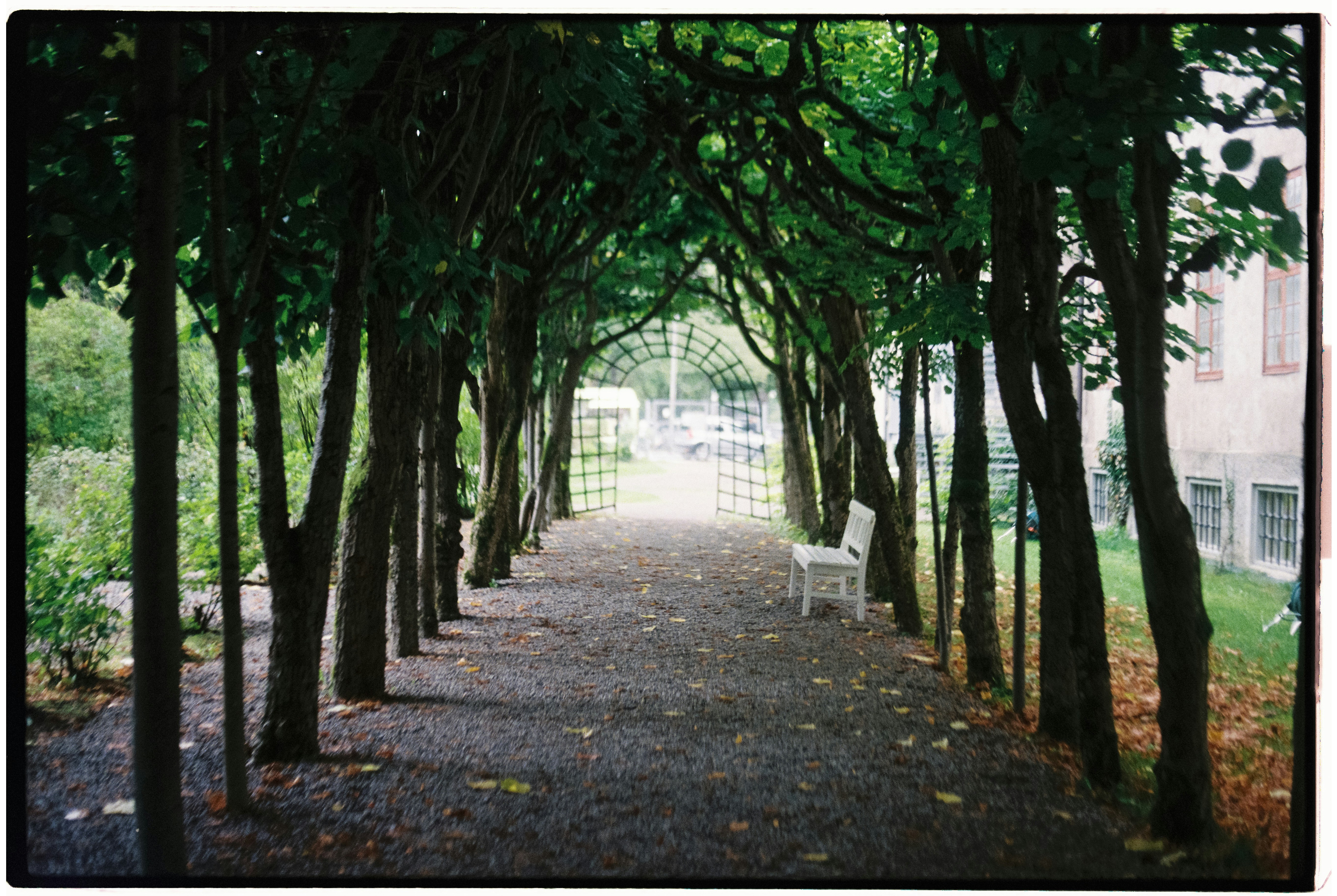 Photo by nikolaevafilm