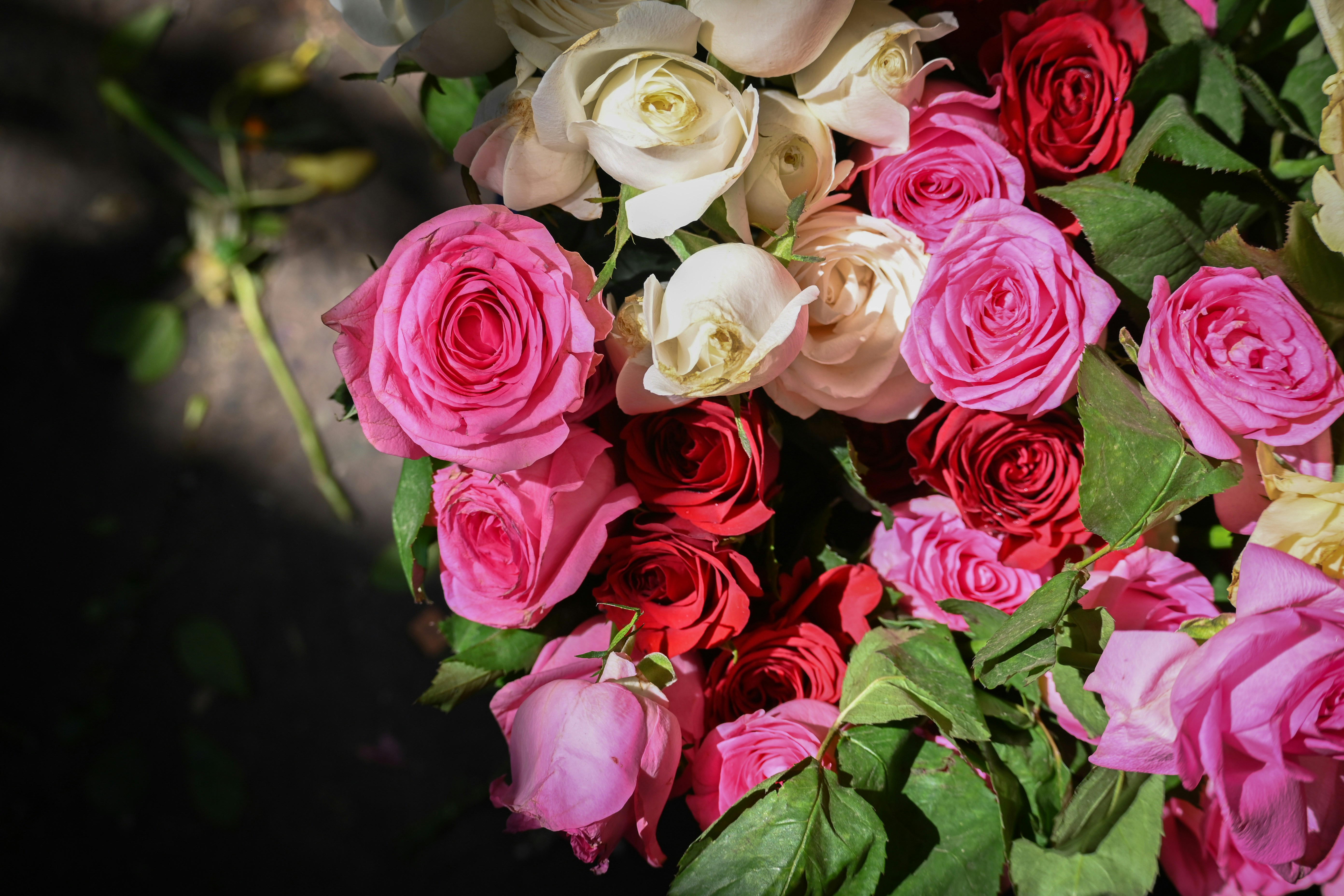 Photo by kolkatarchobiwala