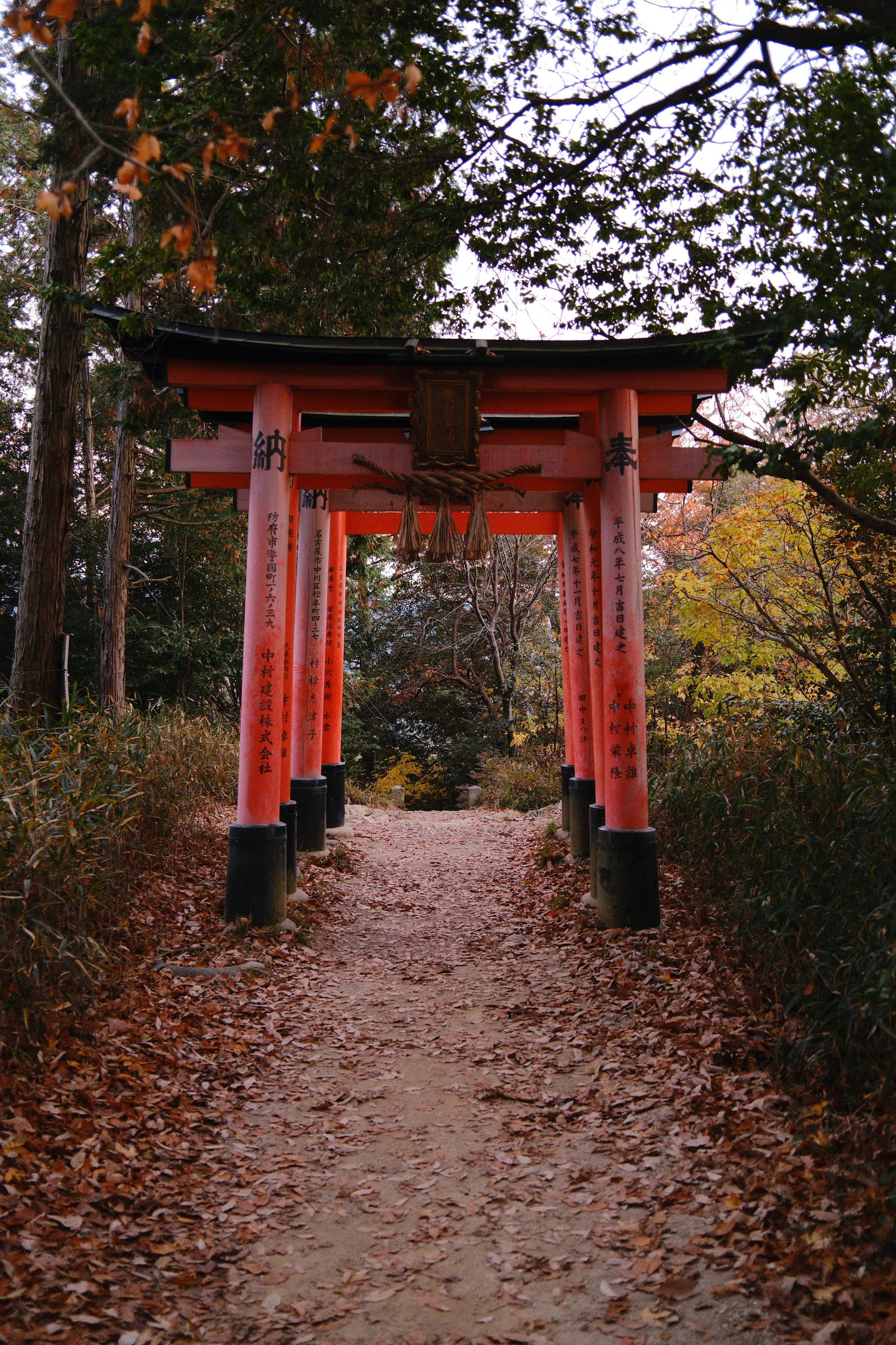 Photo by jackseeberryphoto