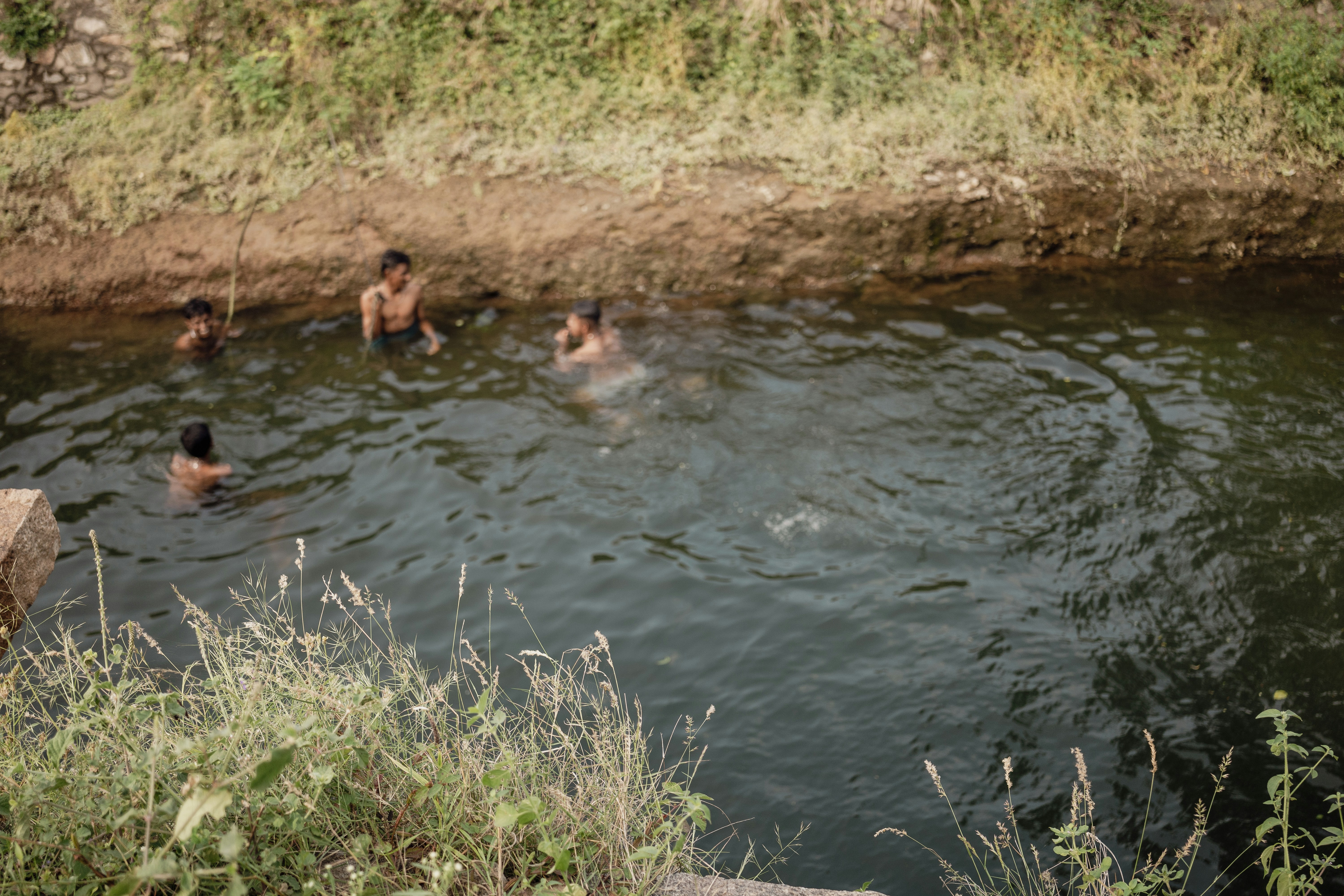 Kikuletwa Hot Springs photo 2