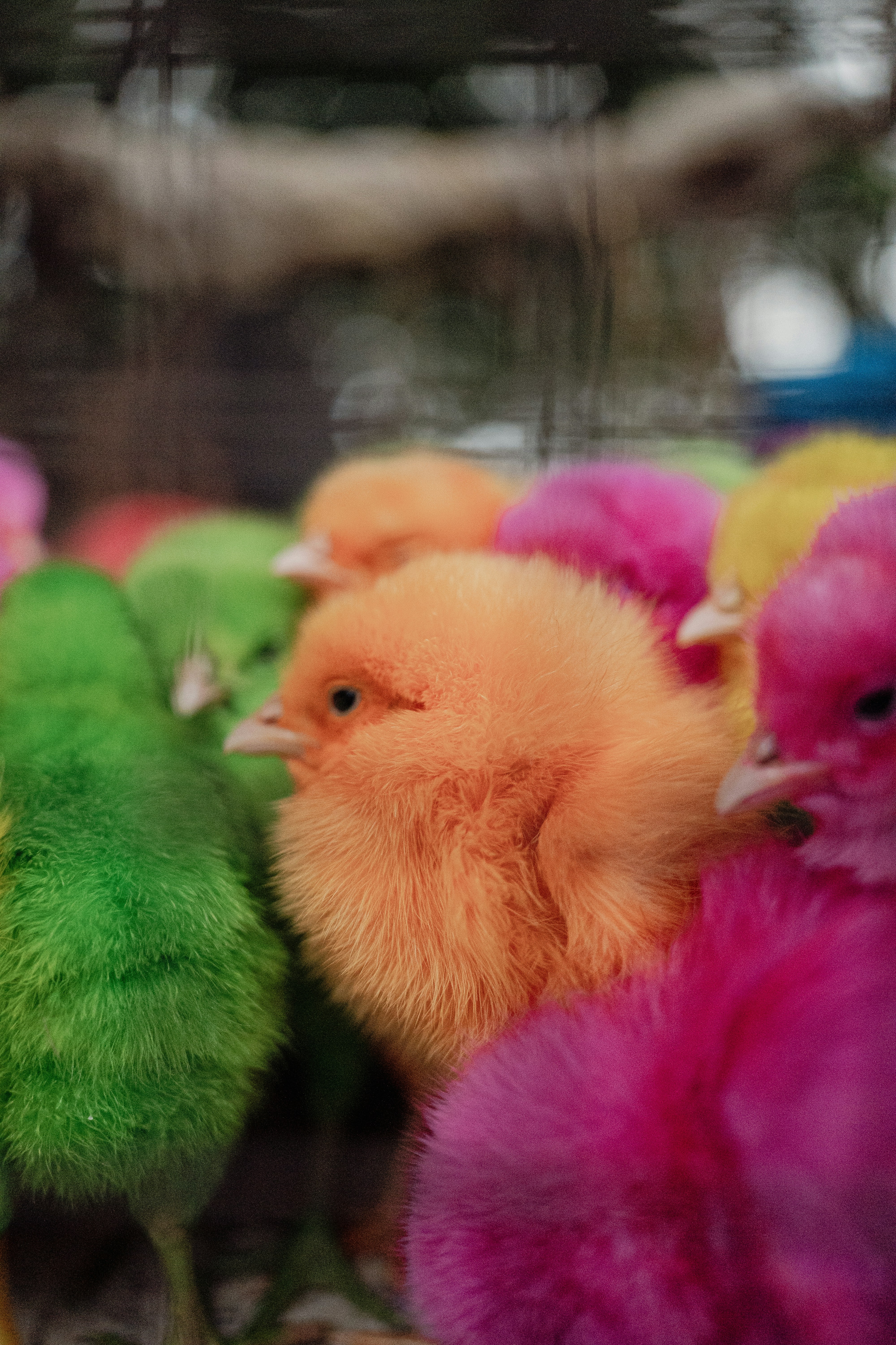 Photo by karthickgislen