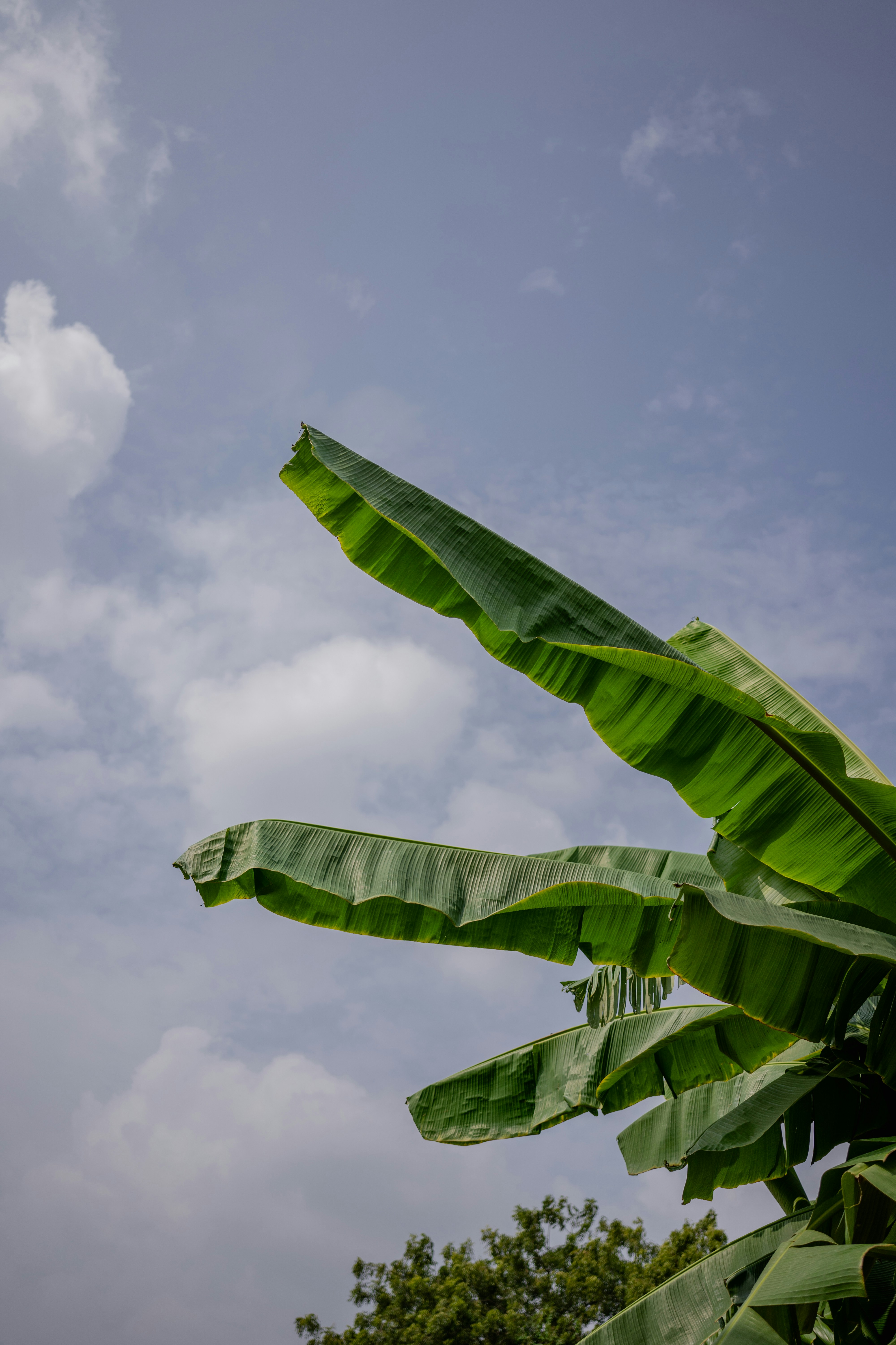 Photo by karthickgislen